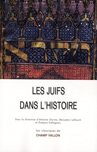 Les juifs dans l'histoire: De la naissance du judaïsme au monde contemporain