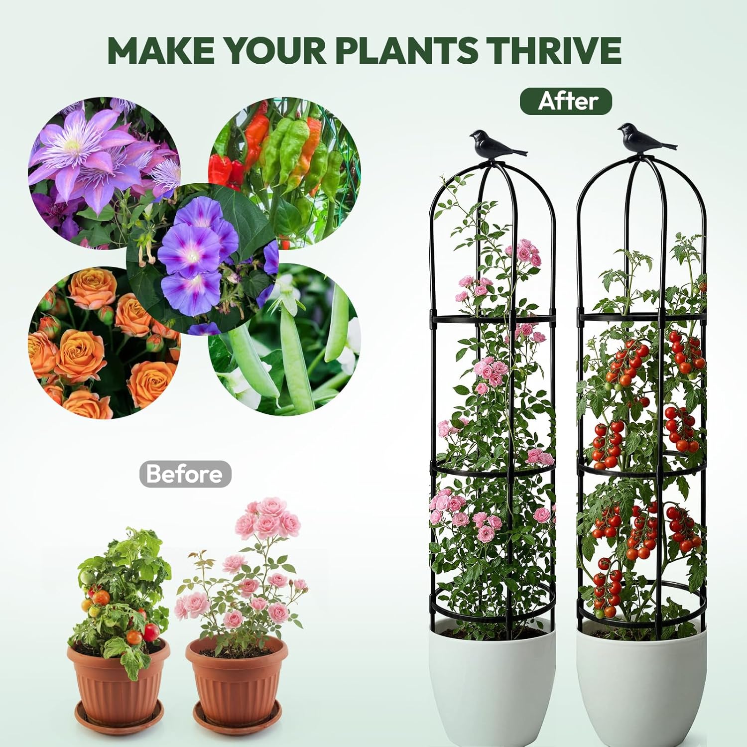 2 Pack Garden Obelisk Trellis for Climbing Plants, 6FT Plant Cages and Supports, Tomato Cage Tall Plant Stakes Garden Trellis for Indoor & Outdoor Plants, Vegetables, Fruits, Flowers, Pots, Vines