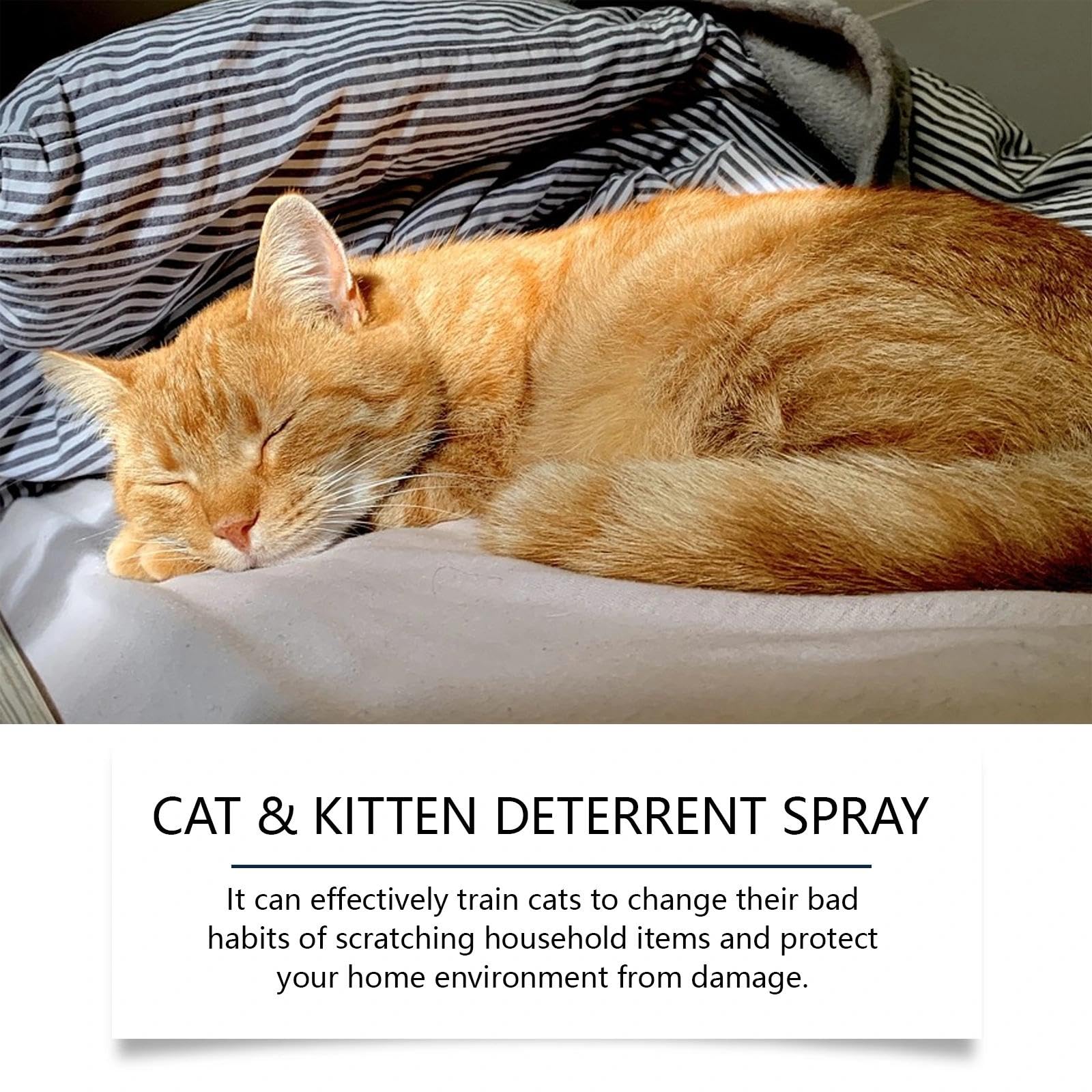 Spray Repellente per Gatti Naturale Anti-Graffio Deterrente, per interni ed esterni, sicuro ed efficace, protegge mobili, divani, tappeti e aree riservate, nuova formula per un migliore addestramento