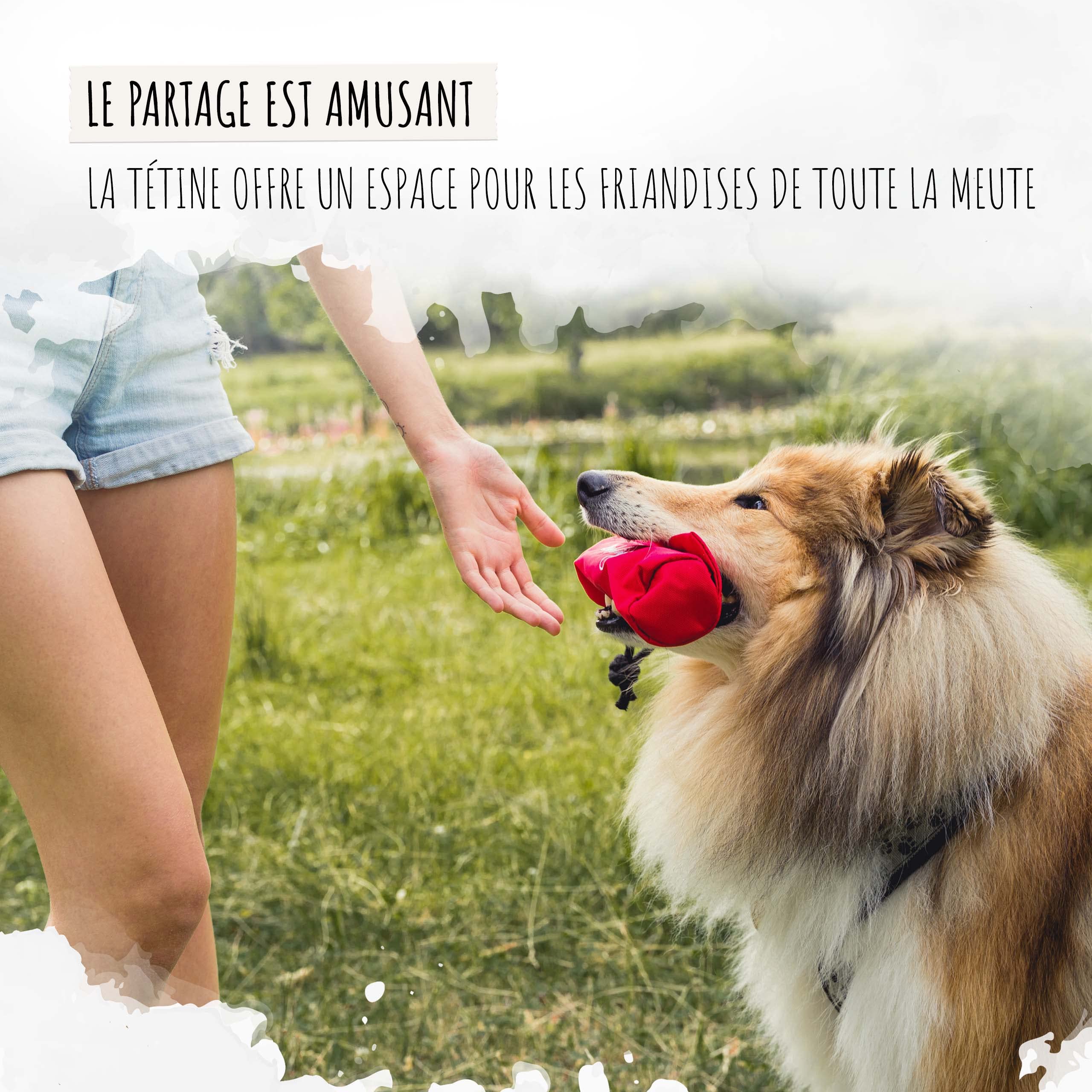 Rudelkönig Apportable Chien Robuste pour friandises - Boudin Chien Mordant - Jouet Pour Chien Idéal - Chien accessoires Essentiels