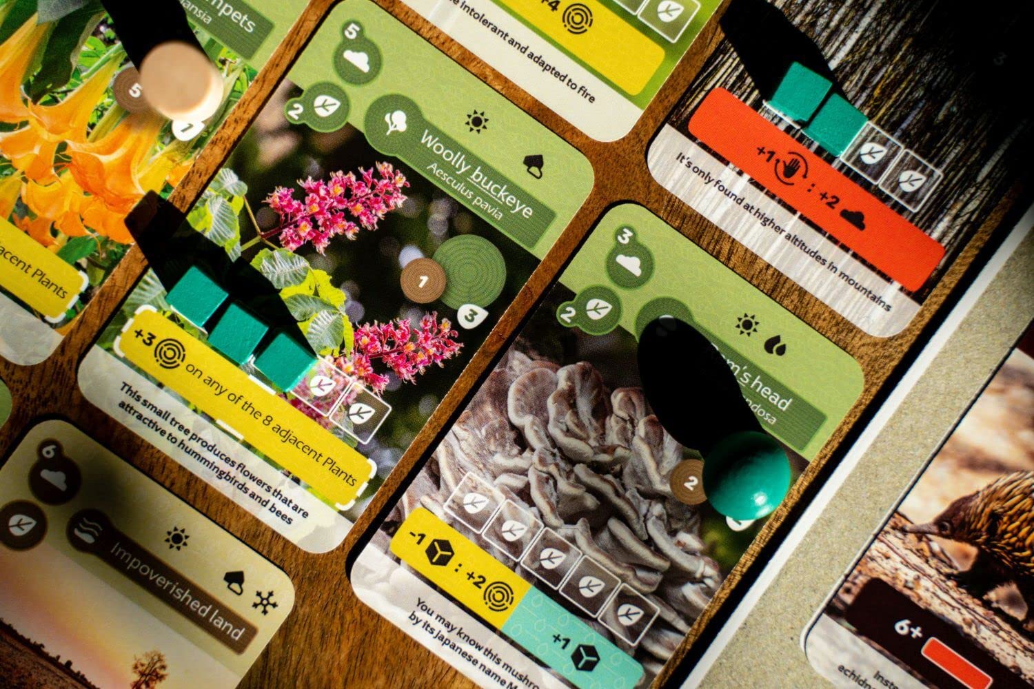 Skellig Games SKE48016 Earth