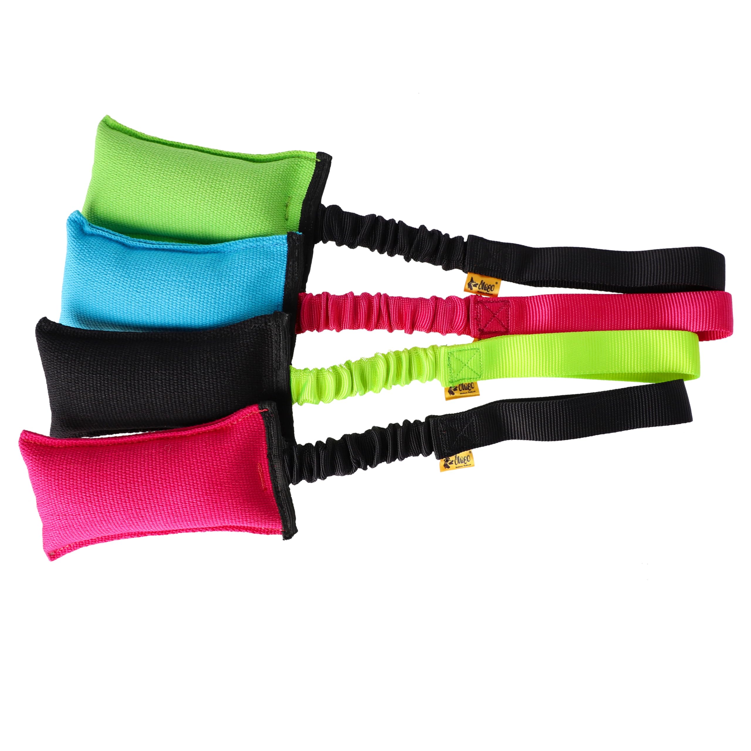 Dingo Giocattolo da Agility per Cani per Allenamento, Sport Acquatici, Gioco di Tira e Molla, 15 x 8 cm, Verde con Manico Elastico Nero 15593