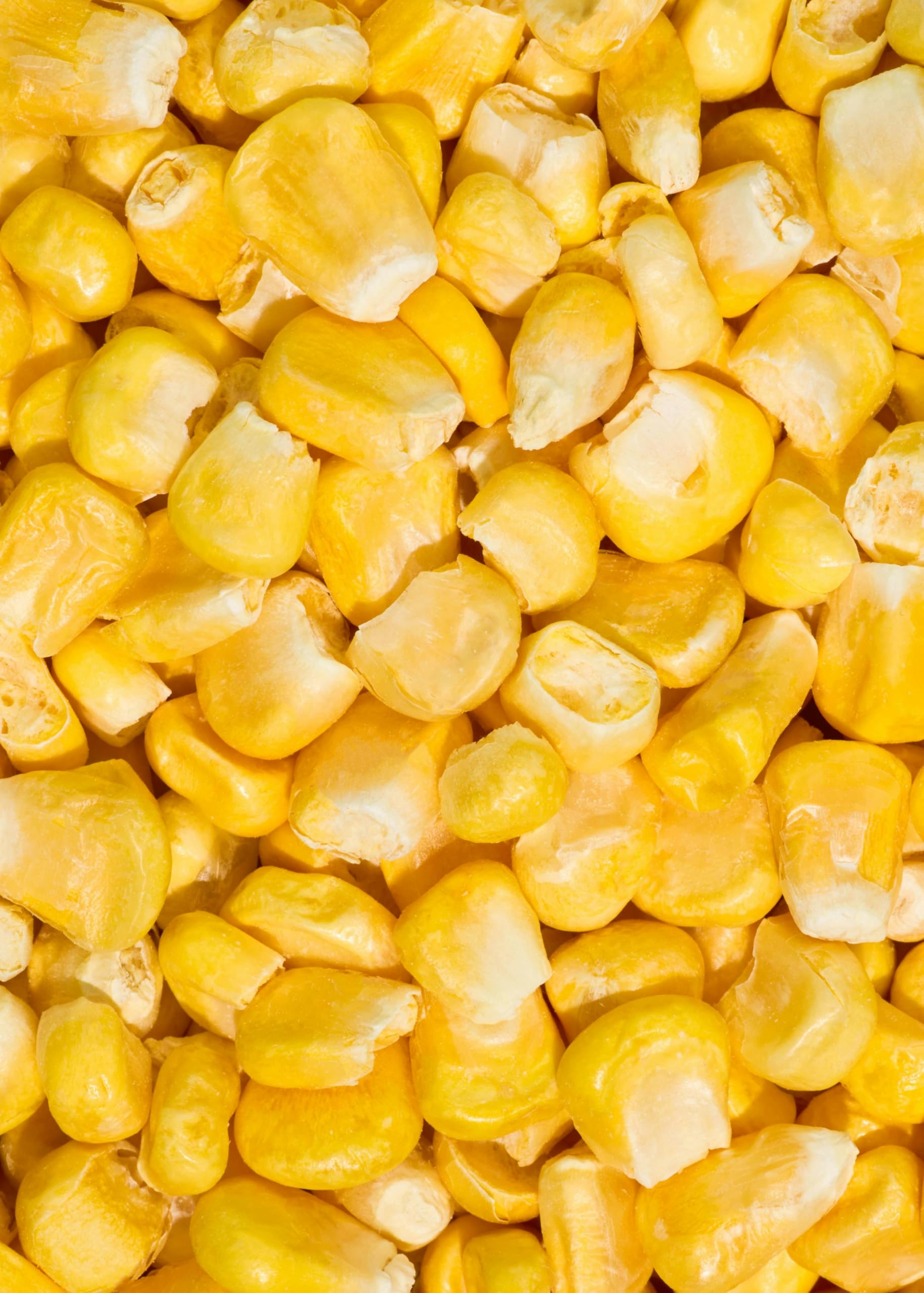 KoRo - Mais liofilizzato 350 g - al posto di popcorn o crostini - in zuppe, insalate e vellutate
