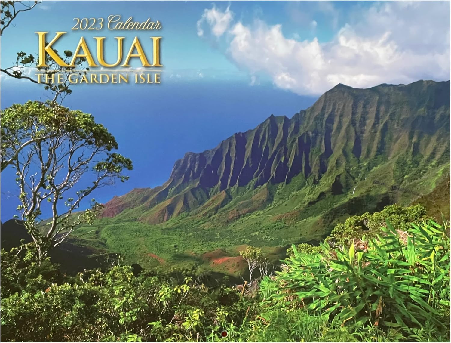 Amazon.co.jp The Islander Group 2023 Hawaii 12ヶ月カレンダー (カウアイ・ザ・ガーデンアイル