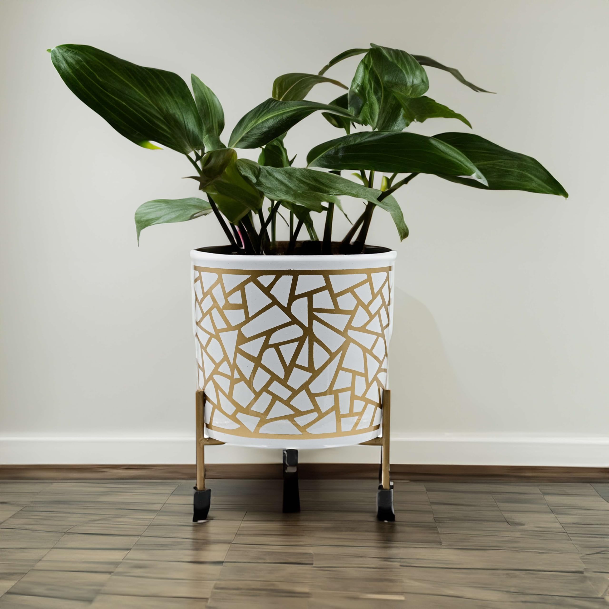 See full amazon price history chart for GIFTED GARDEN Gold Metal Pots for Indoor Plants with Drainage Hole | Designer Flower Pot & Planters for Home Décor, Living Room, Kitchen, Bedroom, Table Top, Office, Gifting (1 Pack) GIFTED GARDEN Gold Metal Pots for Indoor Plants with Drainage Hole | Designer Flower Pot & Planters for Home Décor, Living Room, Kitchen, Bedroom, Table Top, Office, Gifting (1 Pack) (B0D6BSXPVN) Amazon Price History, Amazon Price Tracker