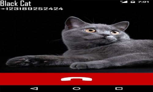 Scary Cat Fake Call Prank and Texting ( Funny Fake Black Cat Joke For Cats Lovers)