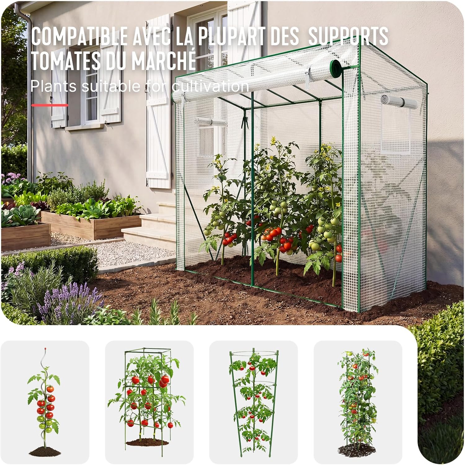 Greenhouse with tomato plants inside, showing compatibility with various tomato support structures.