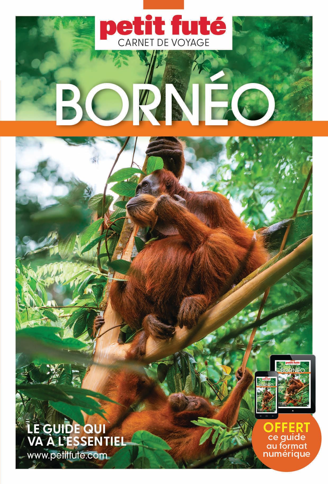 Guide Bornéo 2026 Carnet Petit Futé (2026)