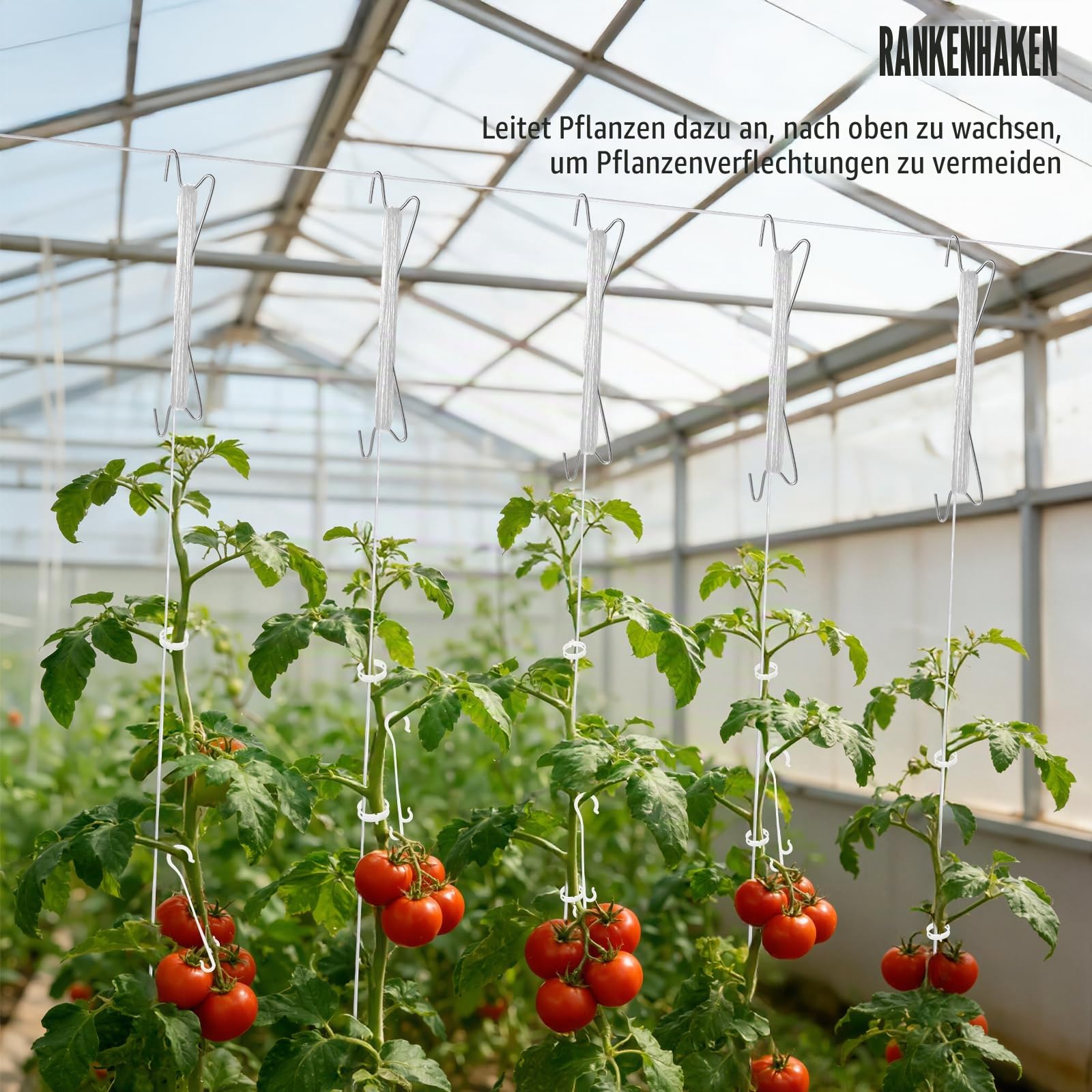 Tomatenhaken mit Schnur, 30 Stück Tomatenpflanzen-Stützclips, Tomatenhalter-Haken mit 10 m Schnur für Kletterpflanzen, Tomaten, Gurken, Kirschen, Gemüse (30, Weiß)