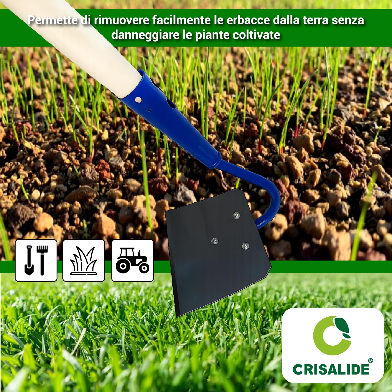Crisalide® - Sarchiatore per Erbacce con Manico 150 cm in Legno di Faggio – Zappa Manuale da Giardino in Acciaio – Attrezzo Diserbo Preciso per Orto, Aiuole e Terreno