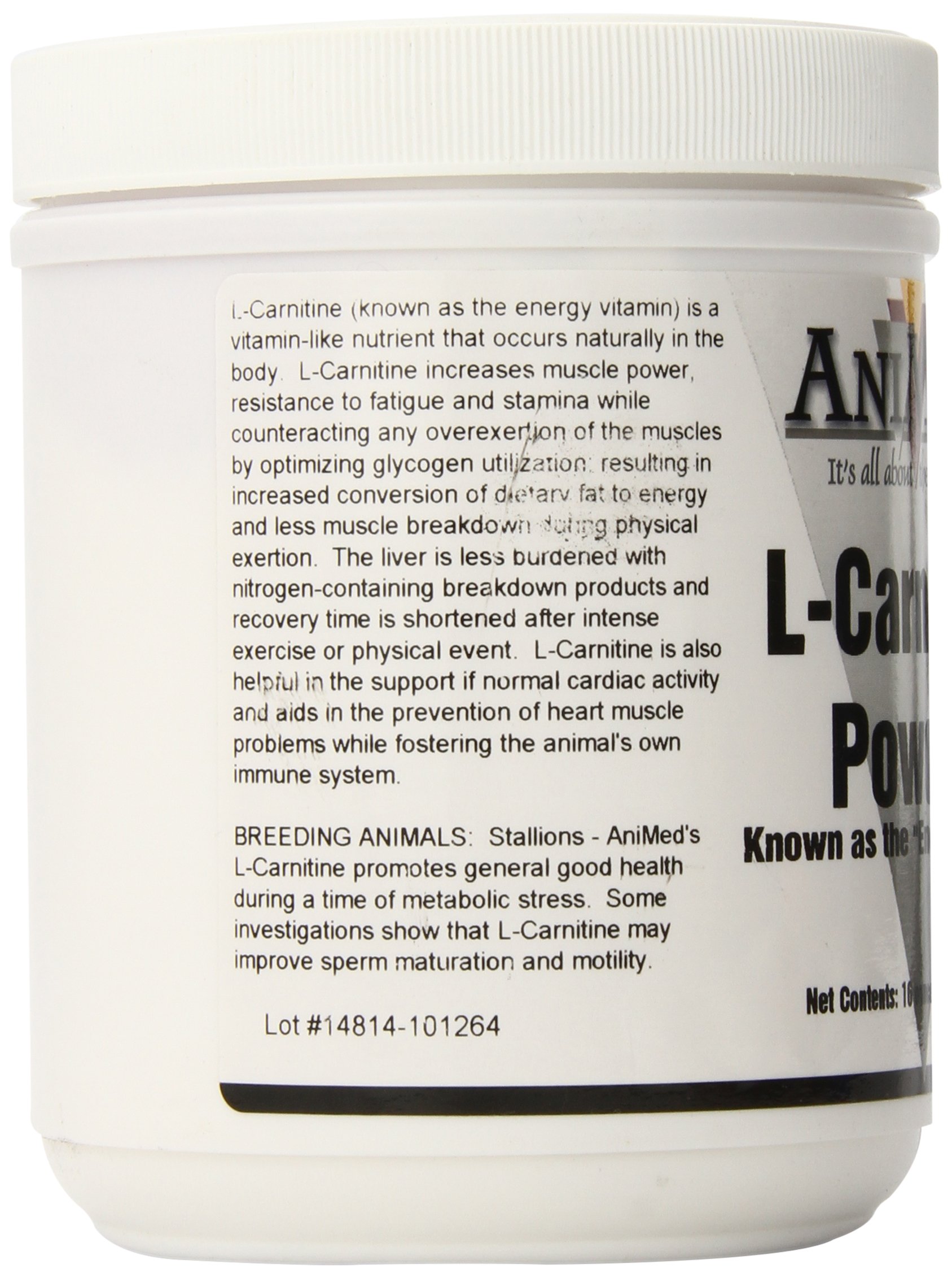 bigjoy l-carnitine protein bar 35 gr Powerbar Protein Plus L-Carnitine - Sports Bar - 3x35g