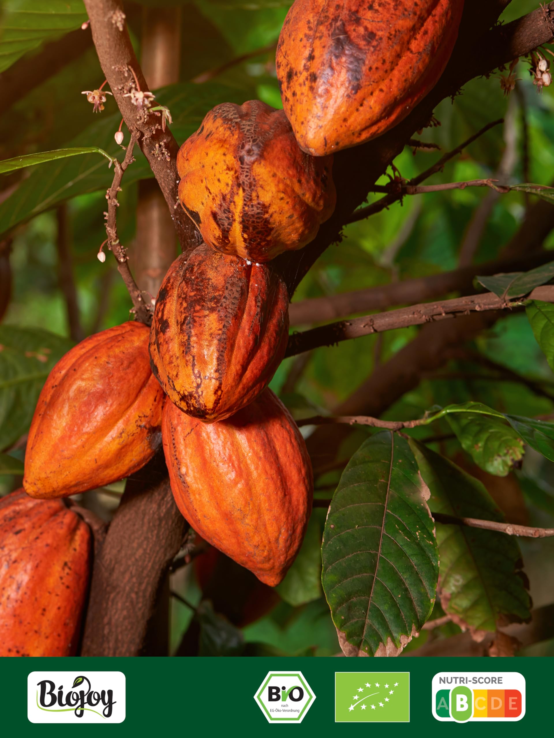 Biojoy Cacao in Polvere Biologico (1 kg), Naturale e Senza Zuccheri Aggiunti (Theobroma cacao)
