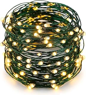 Twinkle Star 200 LED 66ft Christmas Fairy String Lights USB & Adapter Powered, Dimmable Control Starry Green Wire Lights H...