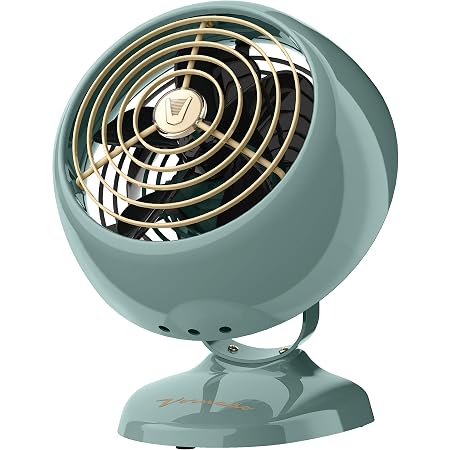 Amazon.com: Vornado Flippi V6 Personal 