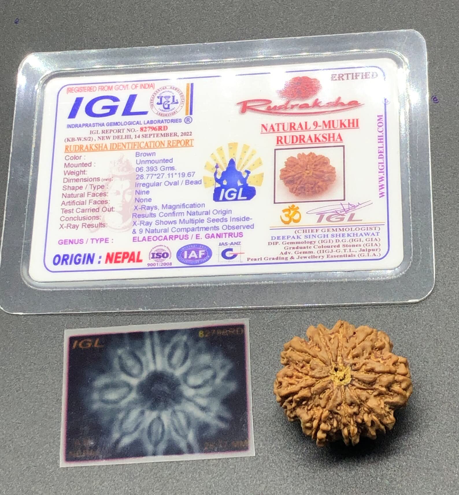 Rudraksha 9 Mukhi du Népal perle sacrée Durga pour méditation