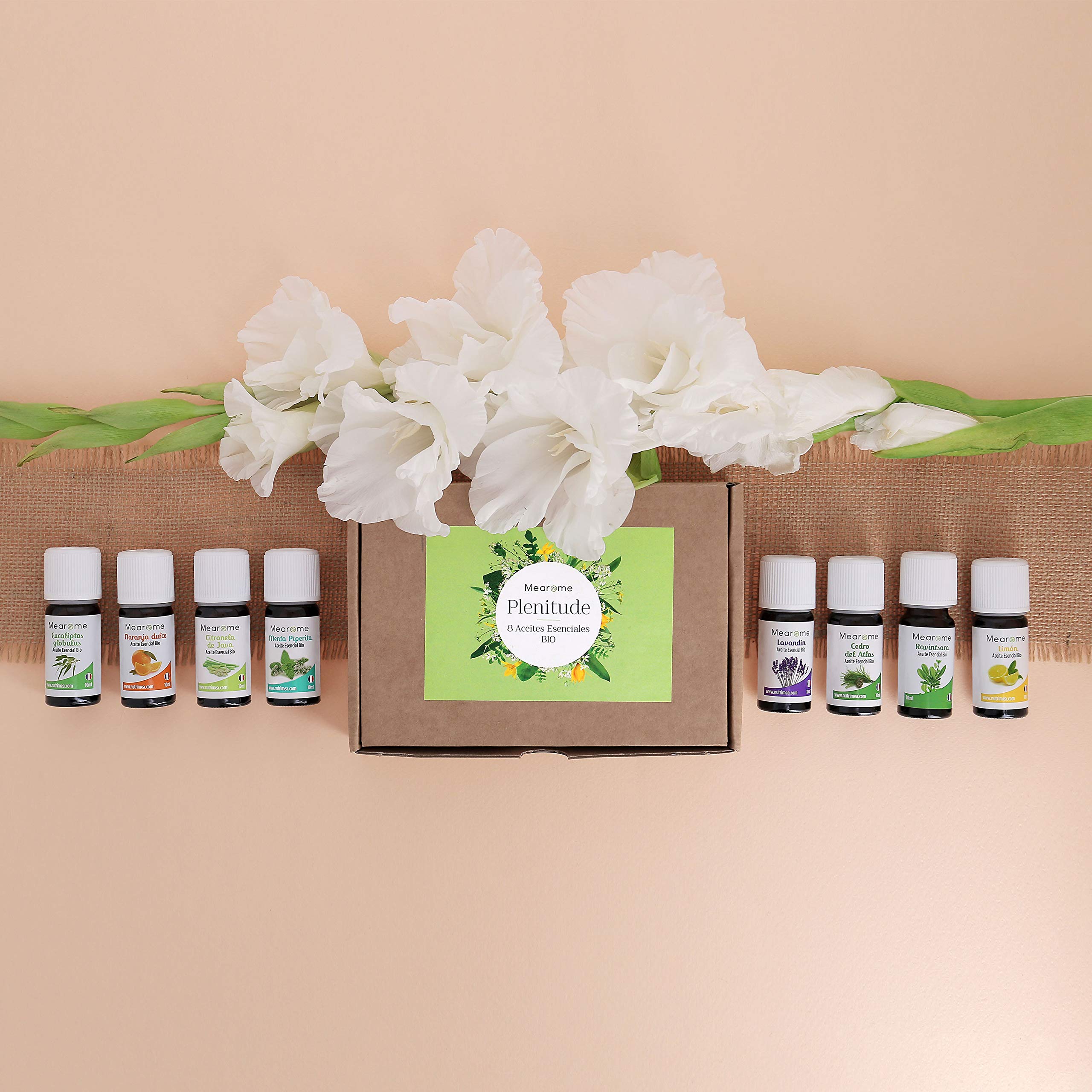 Set de Aceites Esenciales 100% Naturales Bio | Para Humificador Difusor, Aromaterapia | Menta, Eucalipto, Cedro de Atlas, Citronela, Naranja, Limón, Lavandín, Ravintsara | Mearome Fabricado en Francia