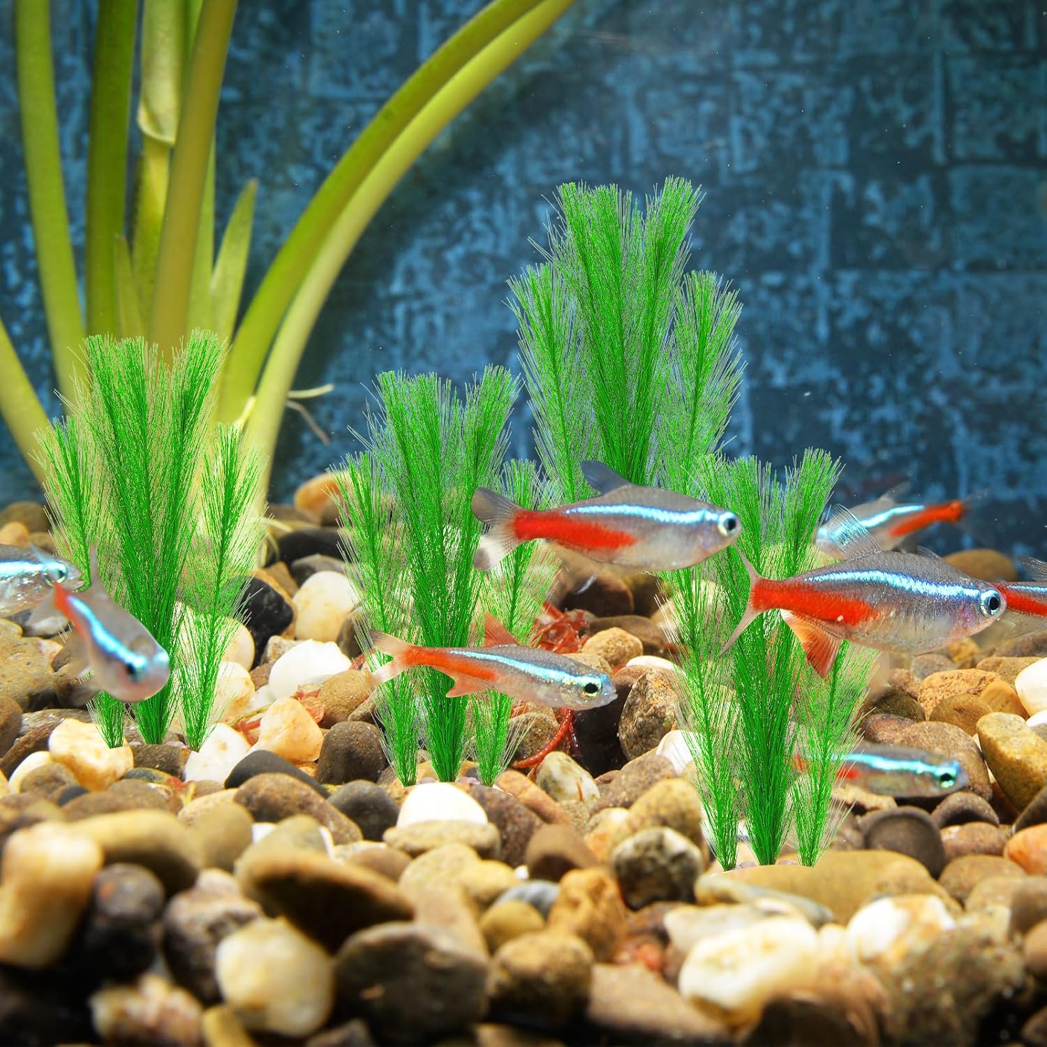 Amazon.com: Riceshoot 9 Pcs 7 Inch Aquarium Decorations Fish Tank ...