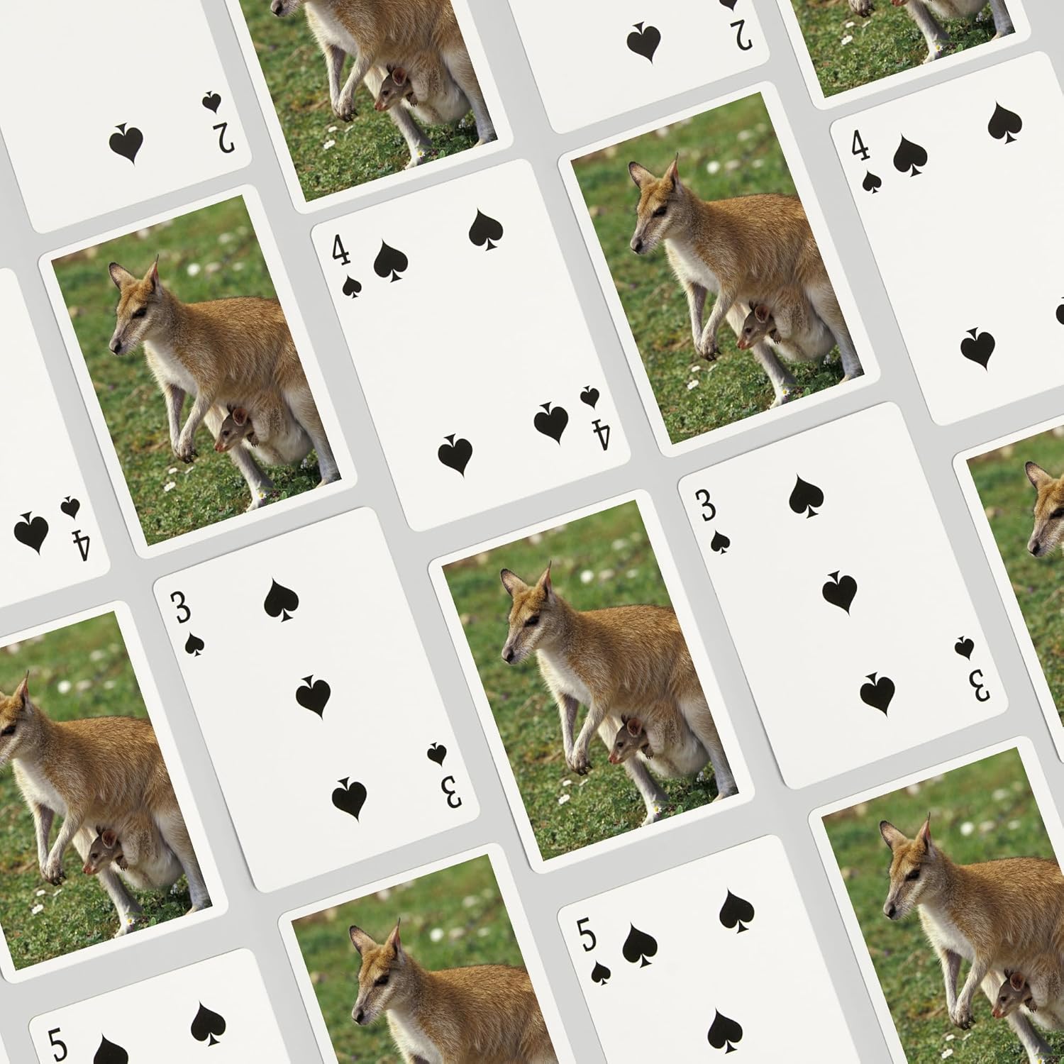 Lantern Press Kangaroo and Joey, 52 Playing Cards for Adults, Poker Size Card Deck