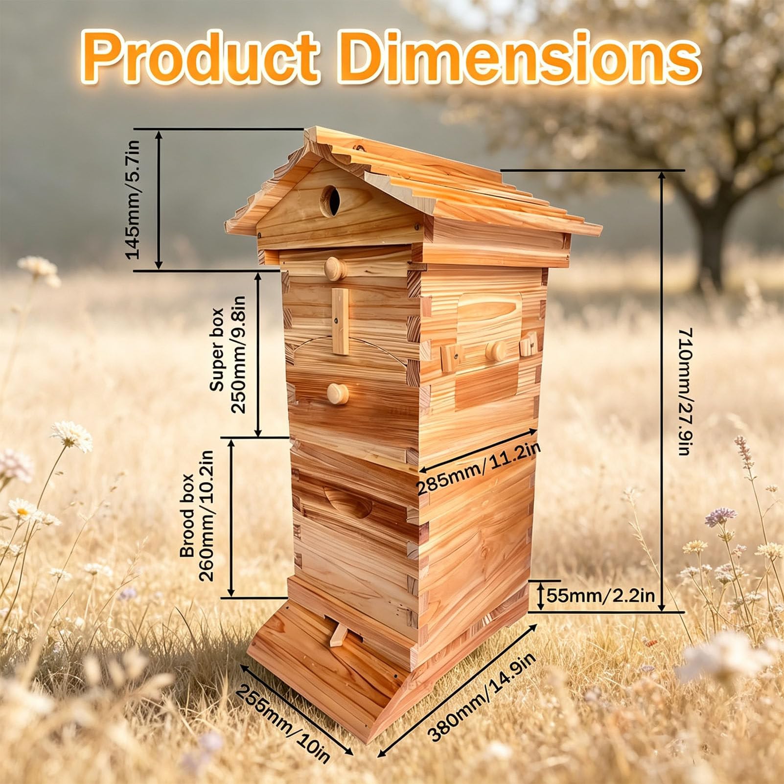 Kit di avviamento per arnia, arnia in Legno con telaini scorrevoli Automatici, arnia Completa per Apicoltura, per Apicoltura, impollinatori da Giardino