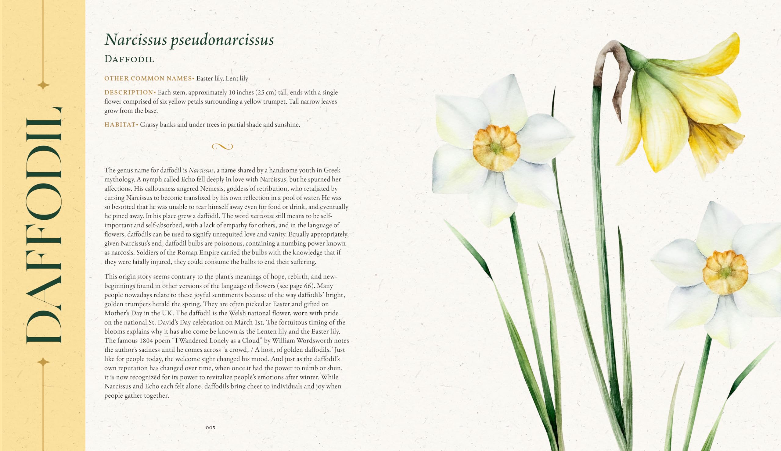 The Folklore of Wildflowers: Stories and History in Bloom