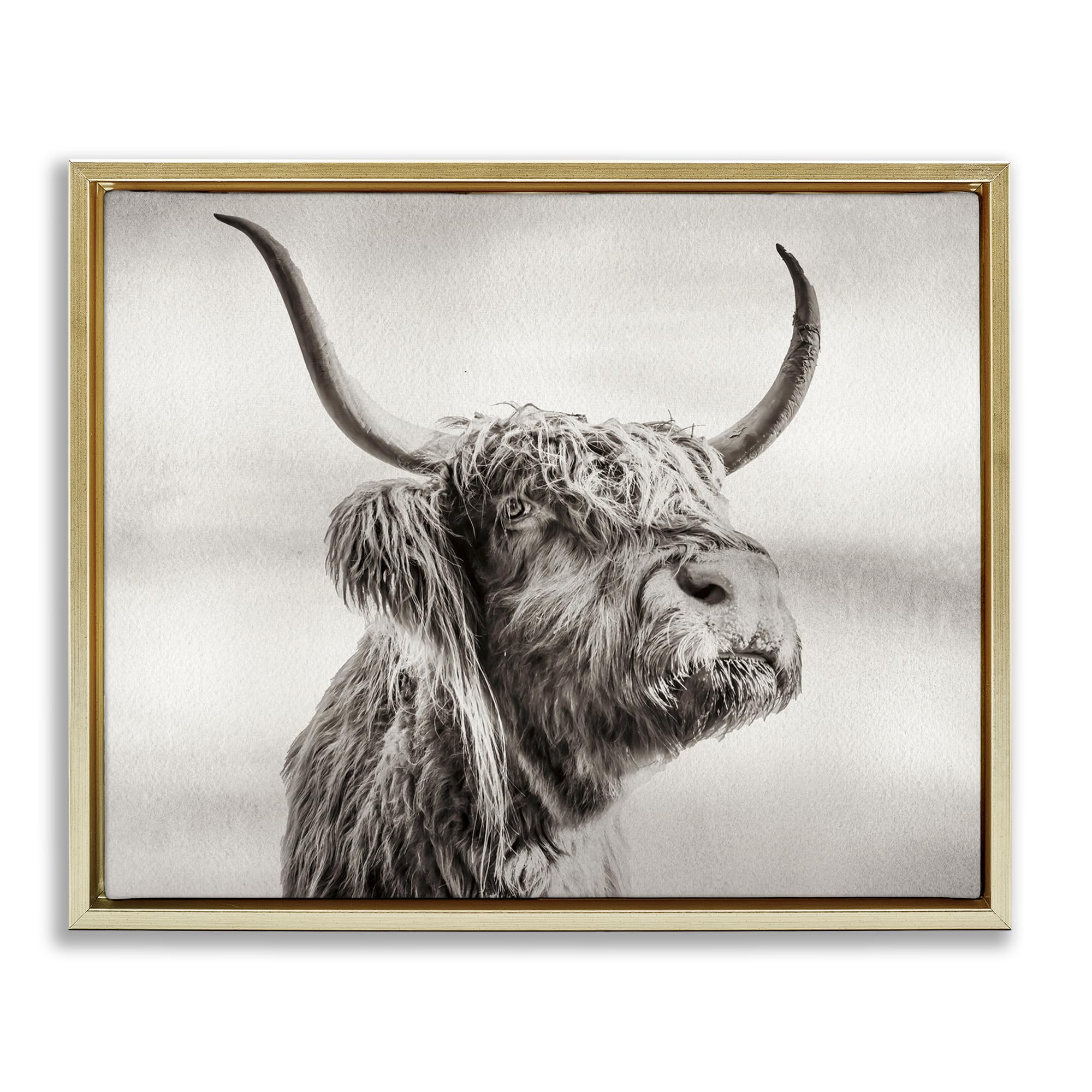 Stupell Industries 'Horned Highland Cow Gazing', Floating Frame Canvas Art, Gold, 31 x 25 Inches, Easy to Hang and Sturdy, Made in USA, by Julia Frost