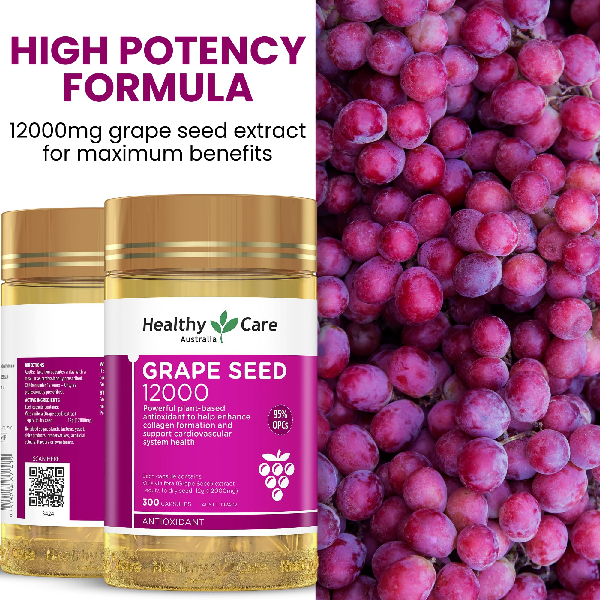 km　grape seed ユニット25-26、28-34、35、36 HEALTHY CARE Grapeseed Extract 12000 (300 Capsule(s)) : Amazon.sg