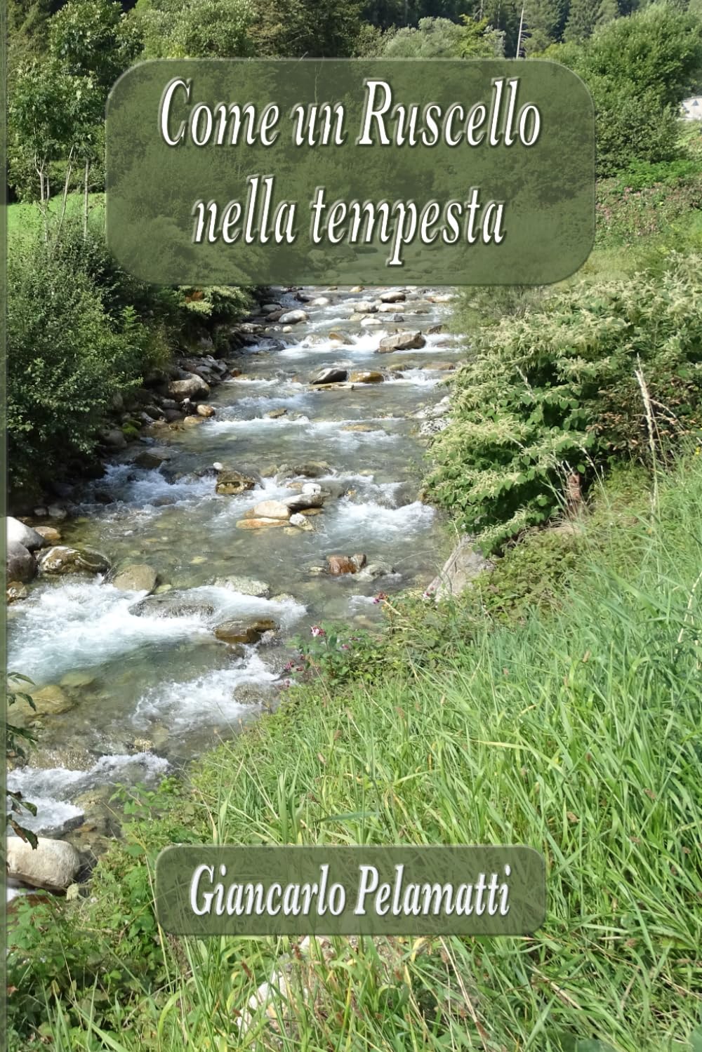 Come un Ruscello nella Tempesta