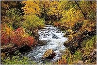 Vista 7 de Black Hills Photography Print (Not Framed) Picture of Creek Surrounded by Fall Foliage on Autumn Day in Spearfish Canyon South Dakota Nature Wall