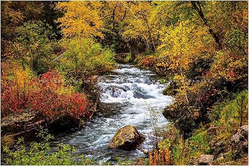 Miniatura 7 de Black Hills Photography Print (Not Framed) Picture of Creek Surrounded by Fall Foliage on Autumn Day in Spearfish Canyon South Dakota Nature Wall