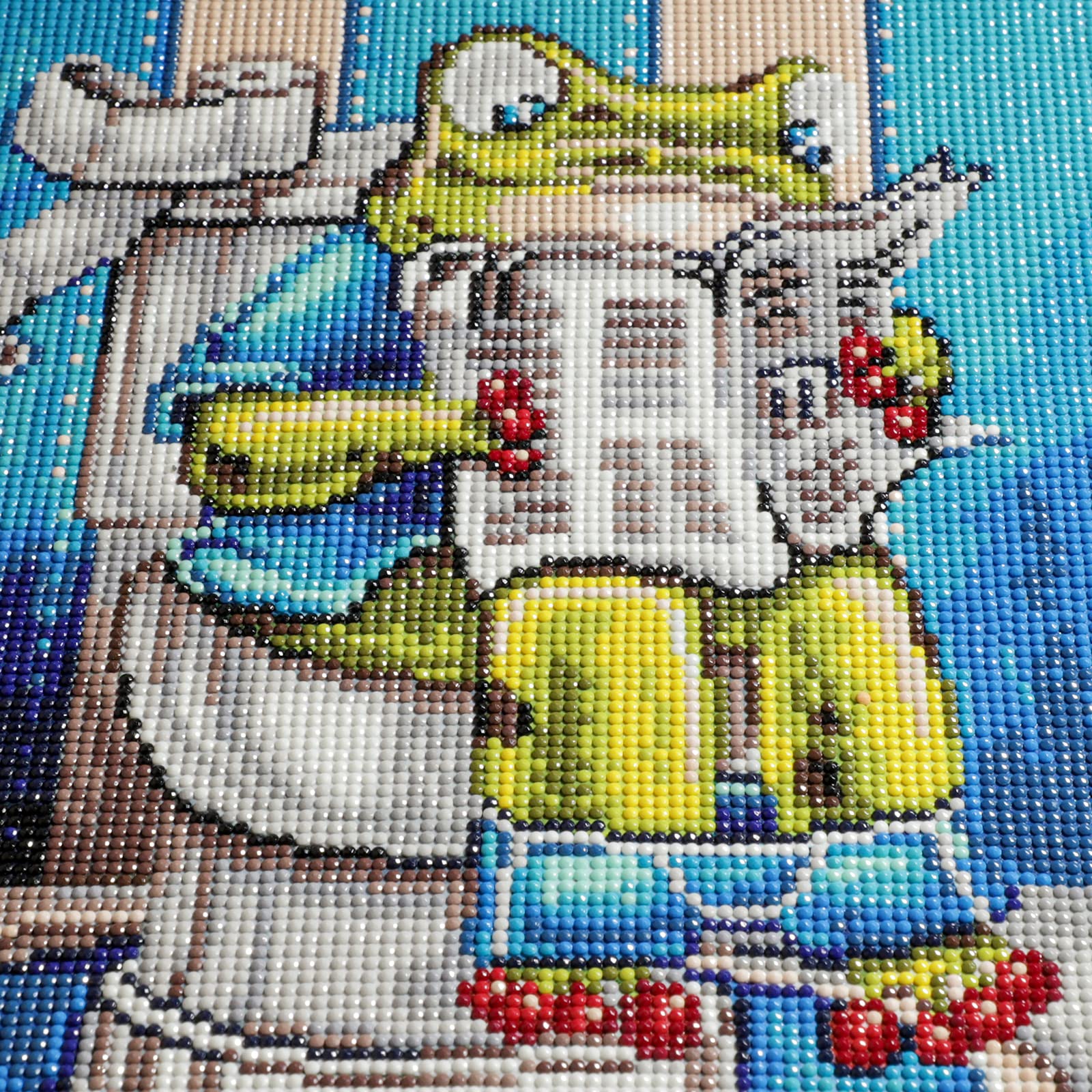 Broderie Diamant La Grenouille Toilettes - Nature Et Découvertes