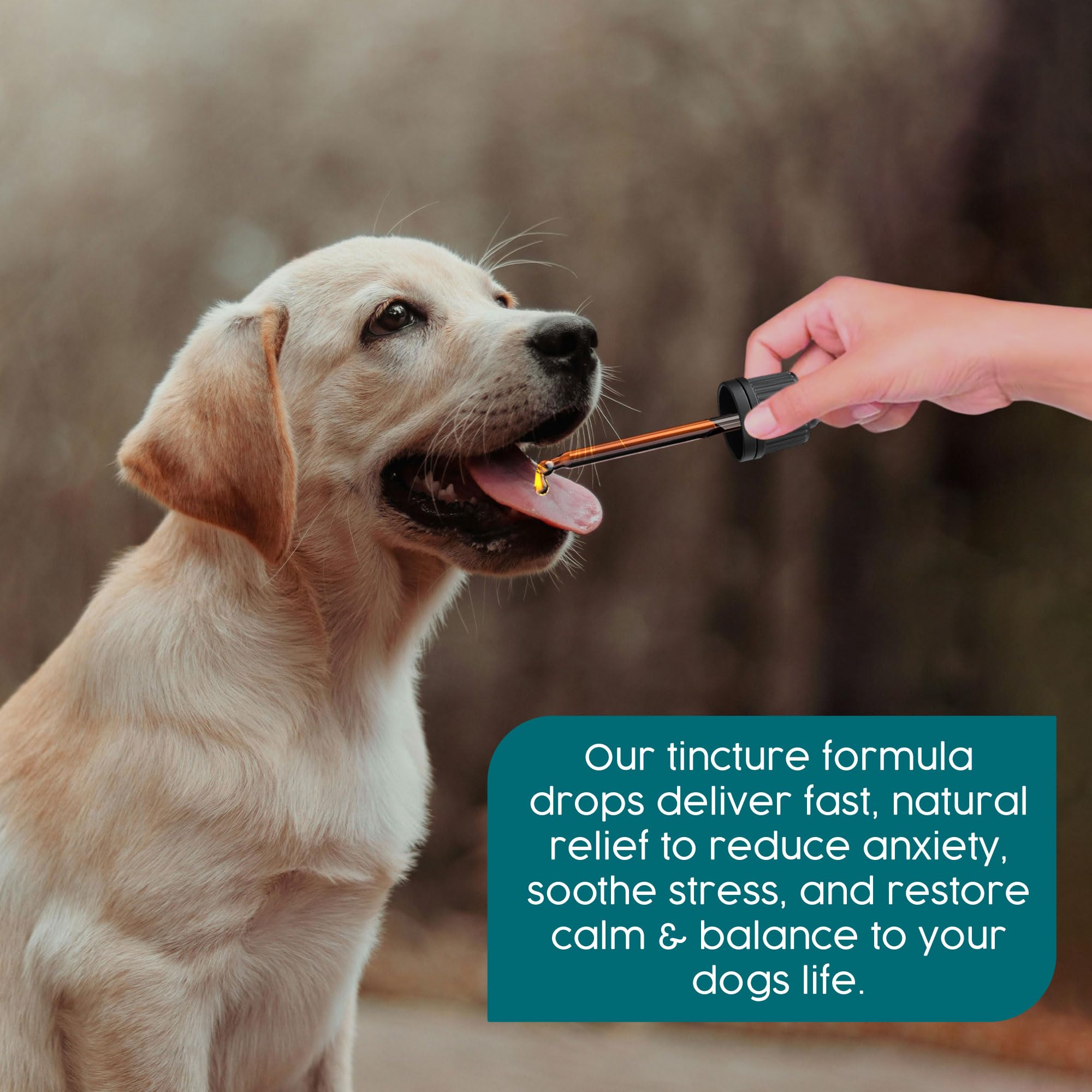 Zanipro Valerian Dog Calming Drops, 100% Natural Herbal Dog Anxiety Relief Calmer - Image 2