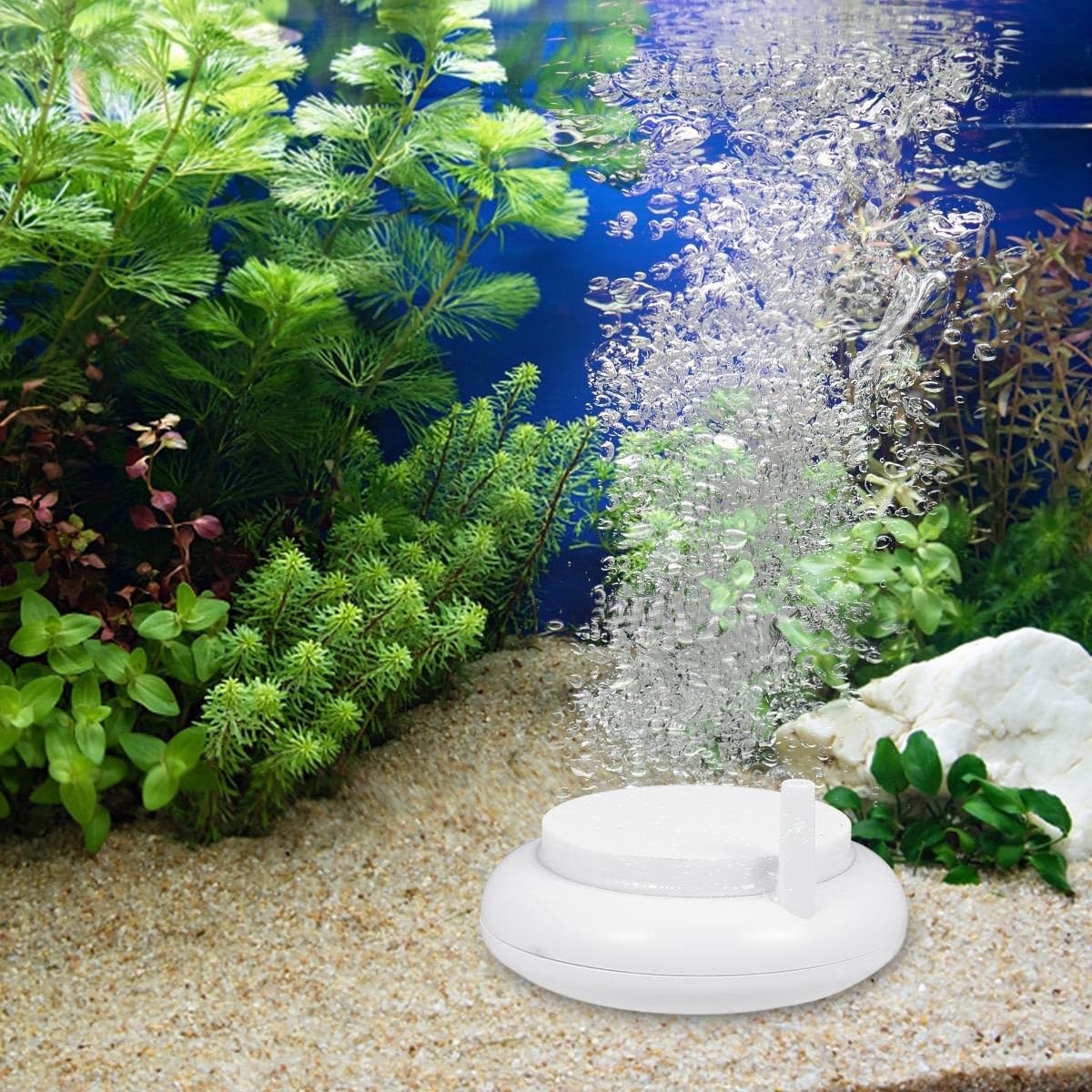 Yardwe 8stücke Luftstein Diffusor Für Aquarien Bubbler Für Hydroponik Leise Sauerstoffpumpe Gleichmäßige Blasenbildung Für Fischteiche Und Aquarien
