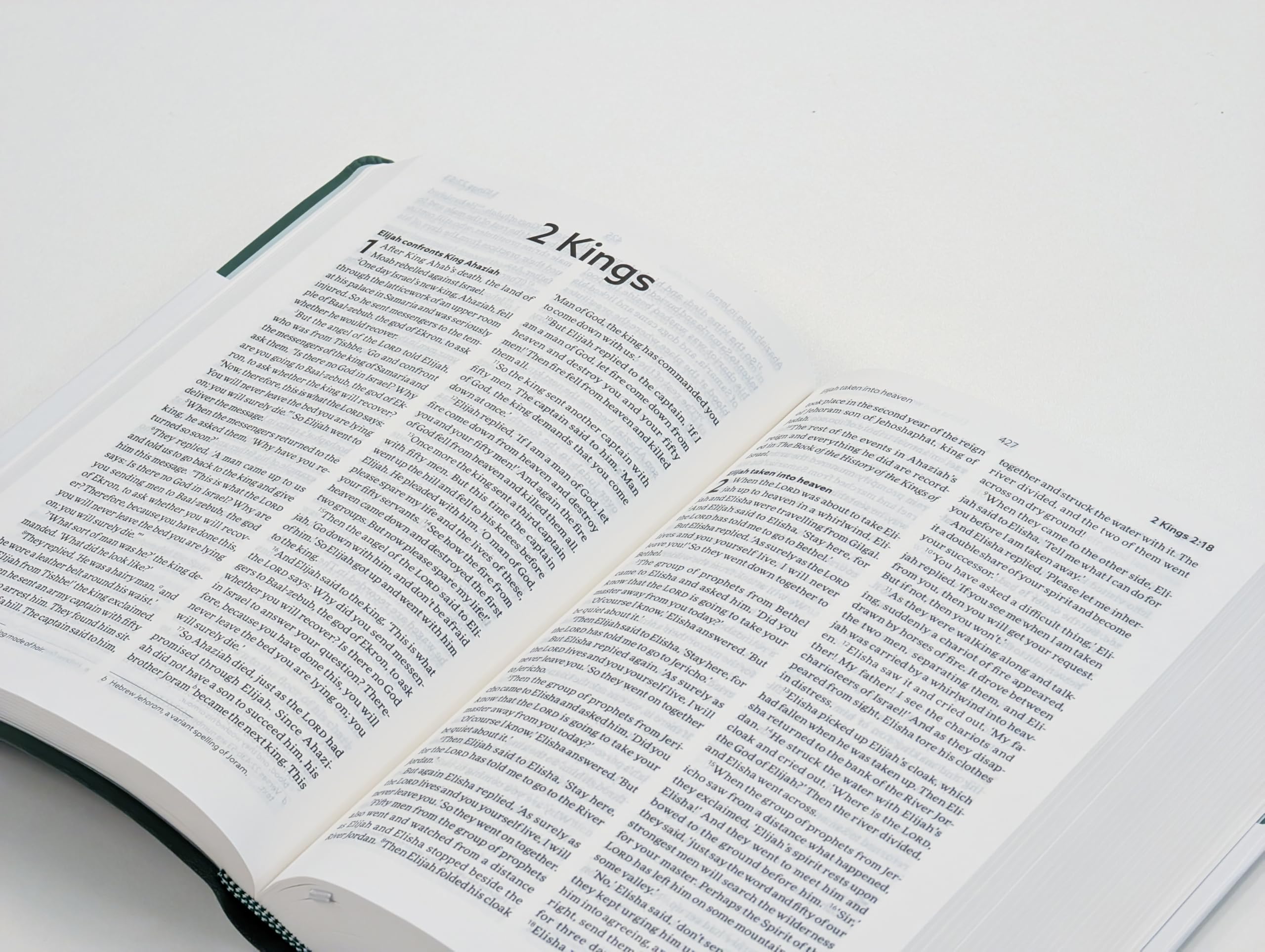 Holy Bible: New Living Translation, Sage-green Soft-tone, British Text