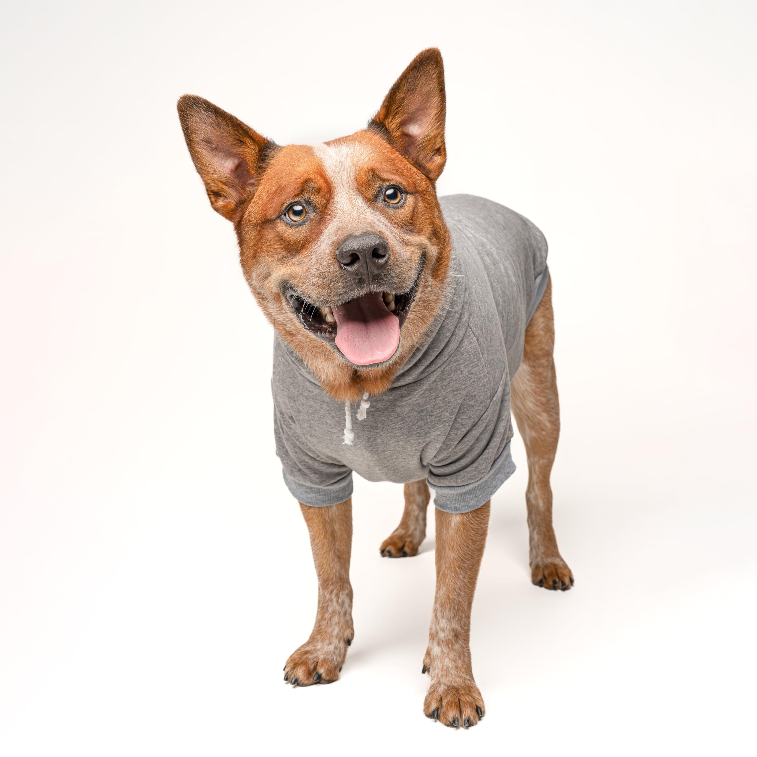 Aunties Bestie Dog Hoodie | Fleece Lined |Leash Hole| Mother's Day | Aunt Gift | Best Auntie & Sister | Valentine's Day|Grey, 5X-Large 1360