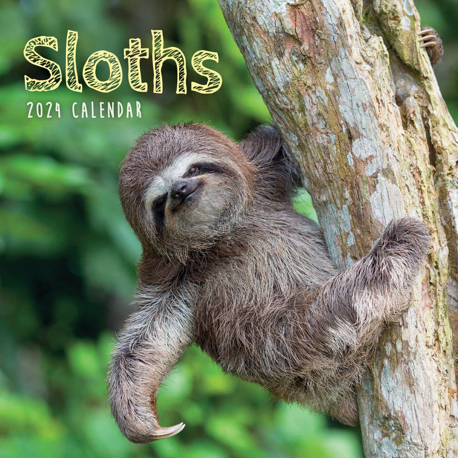 2024 Sloths Mini Wall Calendar Calendars, Carousel 9781529835571