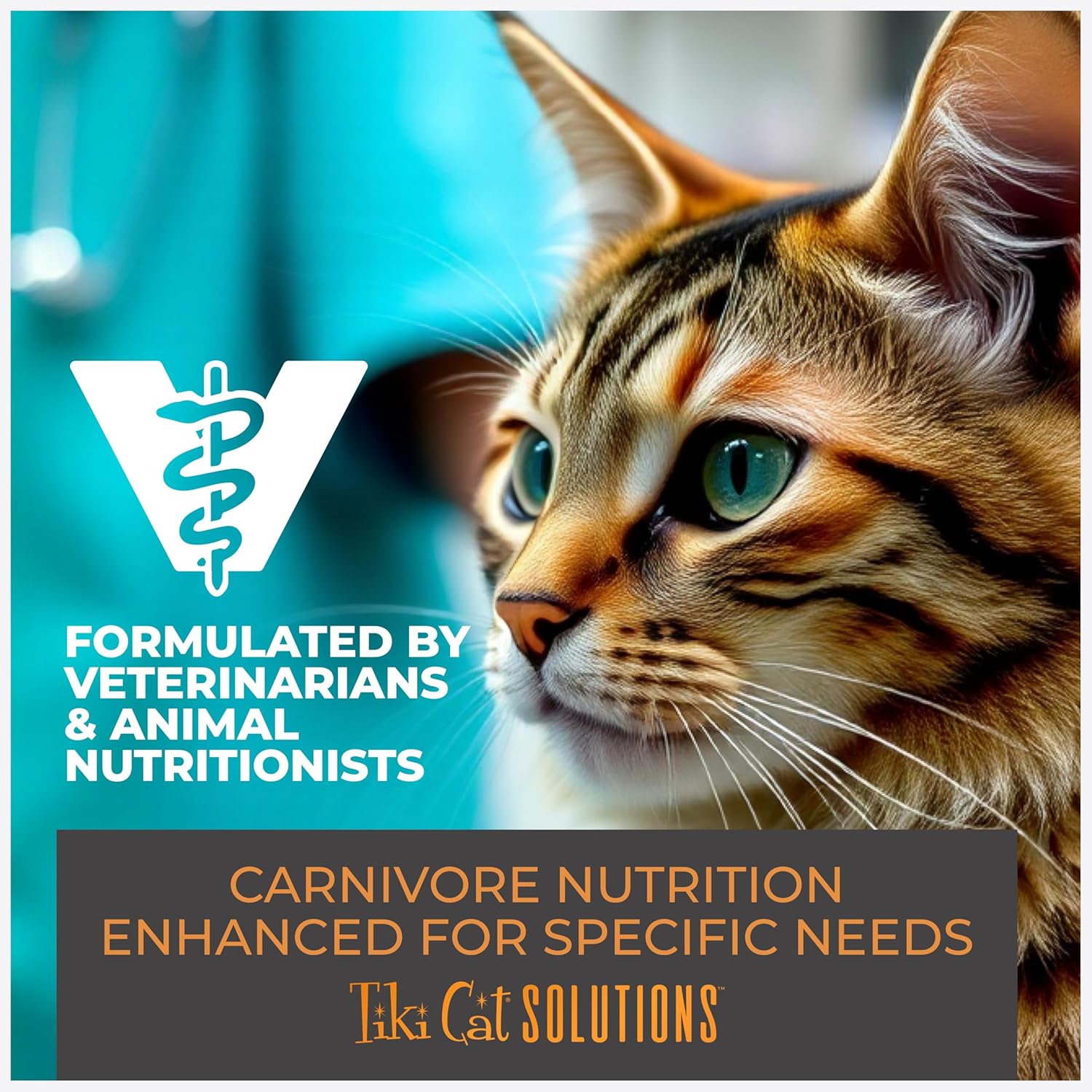 Tiki Cat Solutions Dry Cat Food, Mobility, Chicken & Turkey, 2.8 lbs. Bag