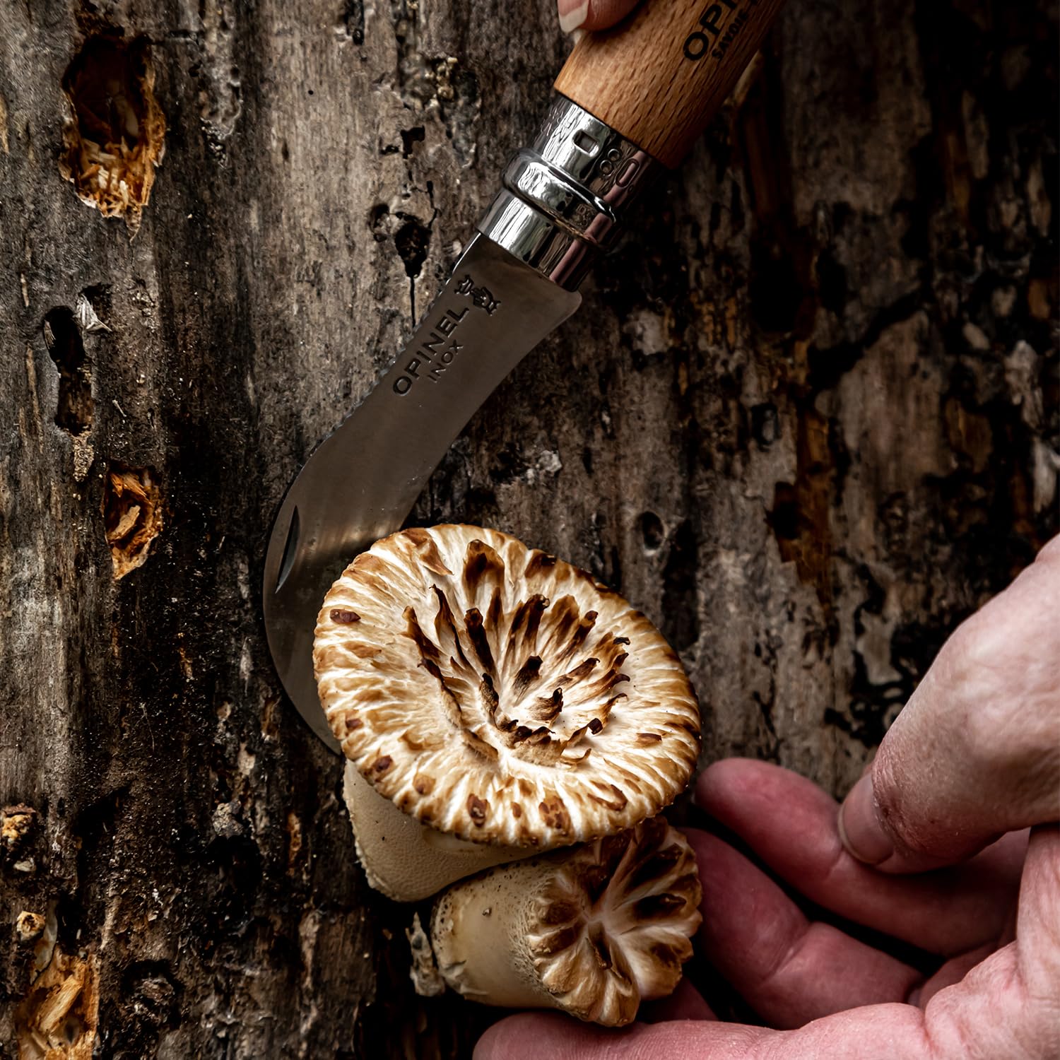 Opinel OP01327 Cuchillo tascabile,Unisex - Adulto, Marrón, un tamaño