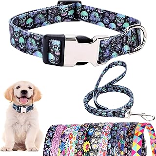 Dog Collar and Leash Set for Daily Outdoor Walking Running Training, Space Design for Small Boys Girls Dogs Cats Pets,(Luminous Skull Small)