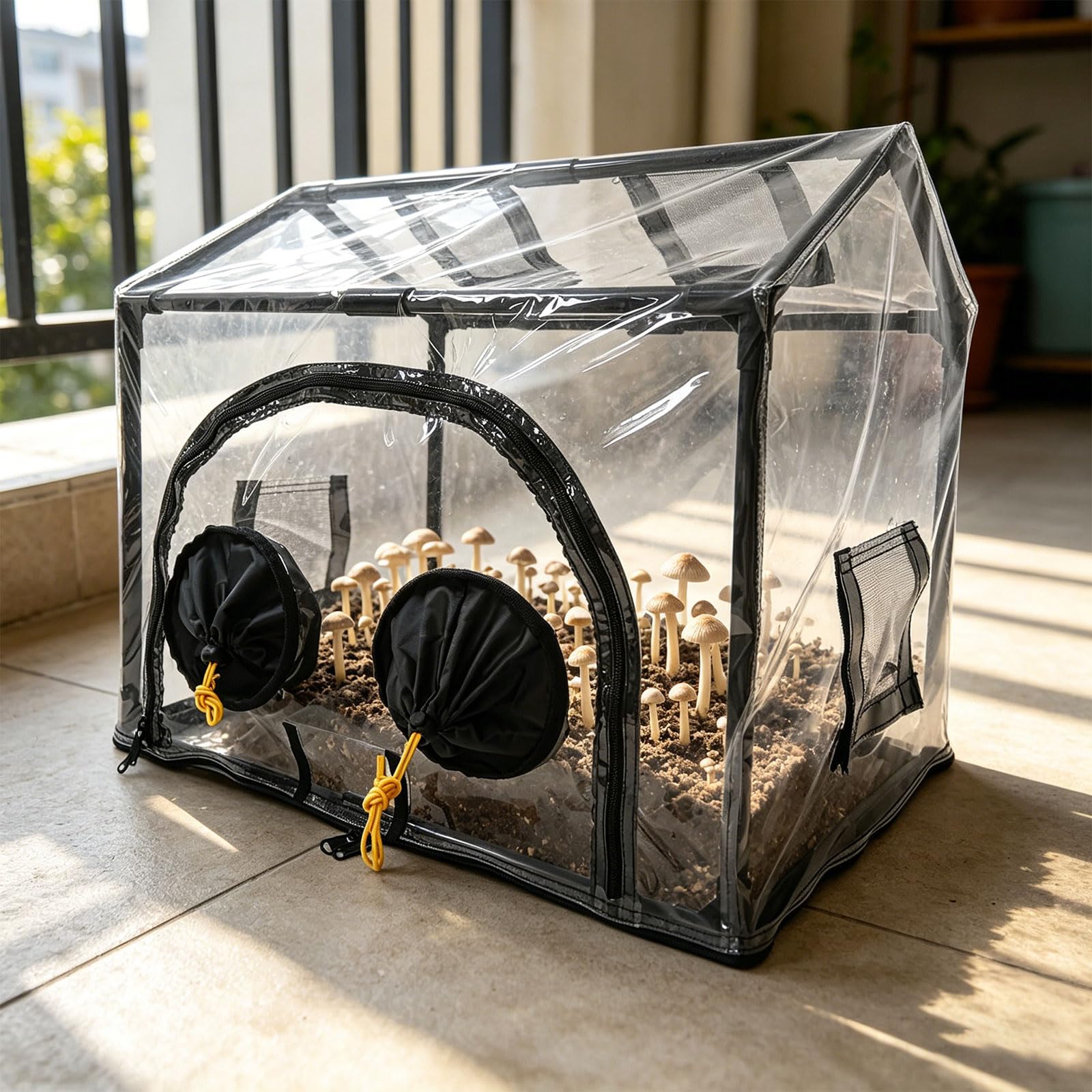 Kit complet de culture de plantes comprenant un abri transparent et une sélection de tapis de base pour cultivateur de champignons bio débutants