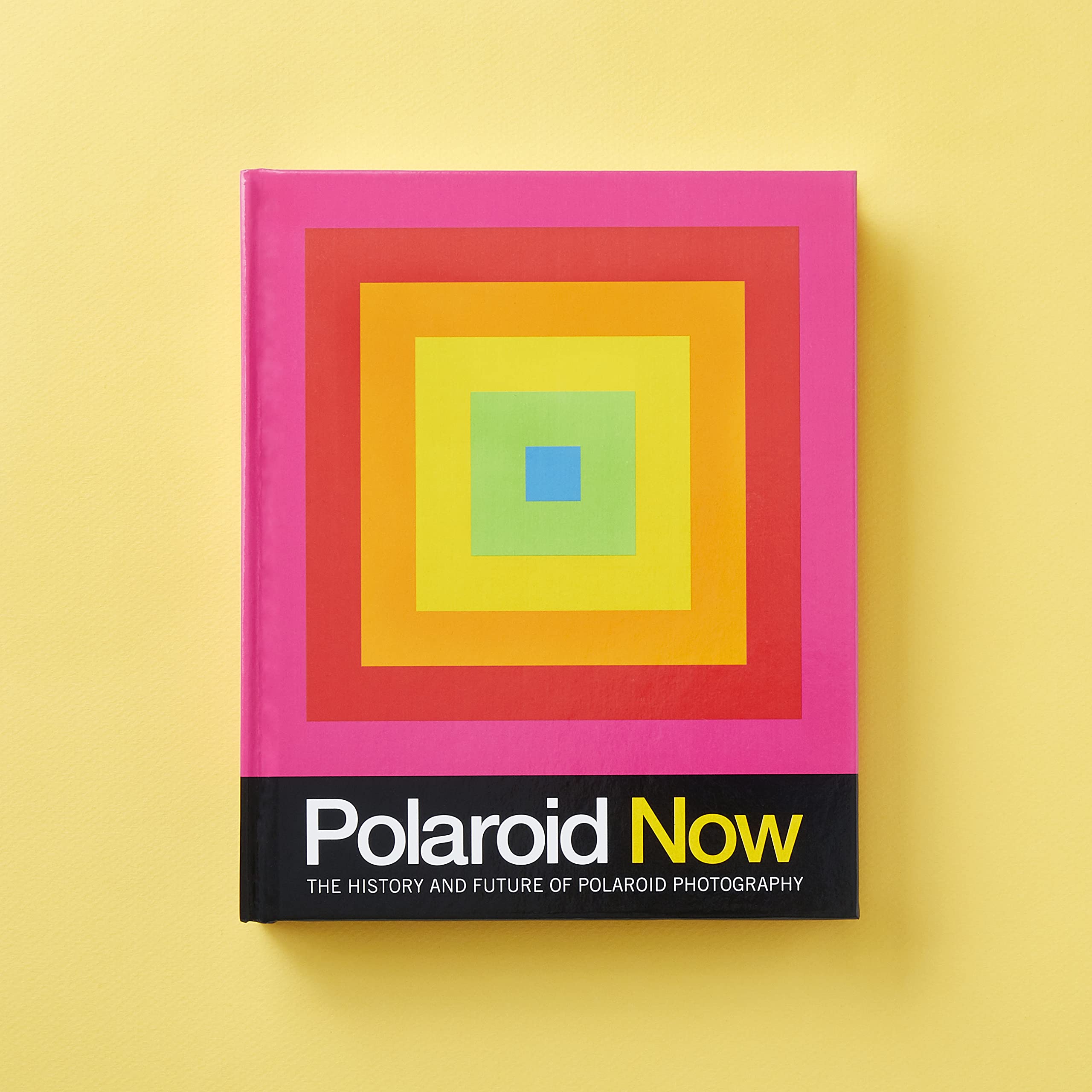 Polaroid Now: The History and Future of Polaroid Photography - Image 3