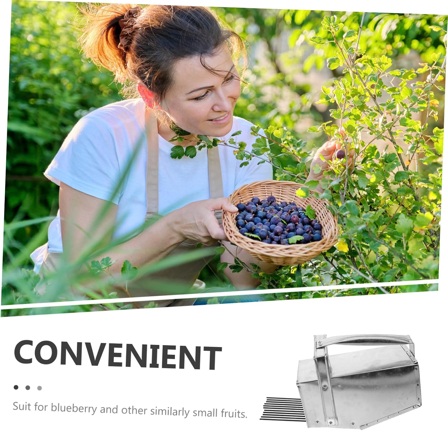 SUPVOX Blueberry Accessories Hand Held Berry Picker Garden Berry Harvester Tool Fruit Picker Baskets