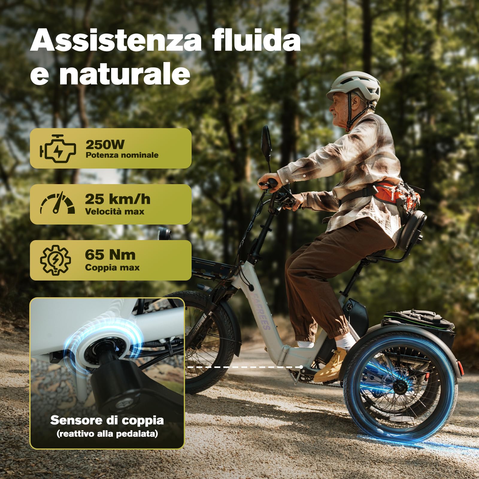 Fafrees Triciclo Elettrico F20 MATE II, Bici da 250 W con 3 Ruote da 20"*2,5", Batteria da 25Ah 1200Wh, Cestino + Portapacchi, Triciclo Elettrico da Carico per Adulti e Anziani