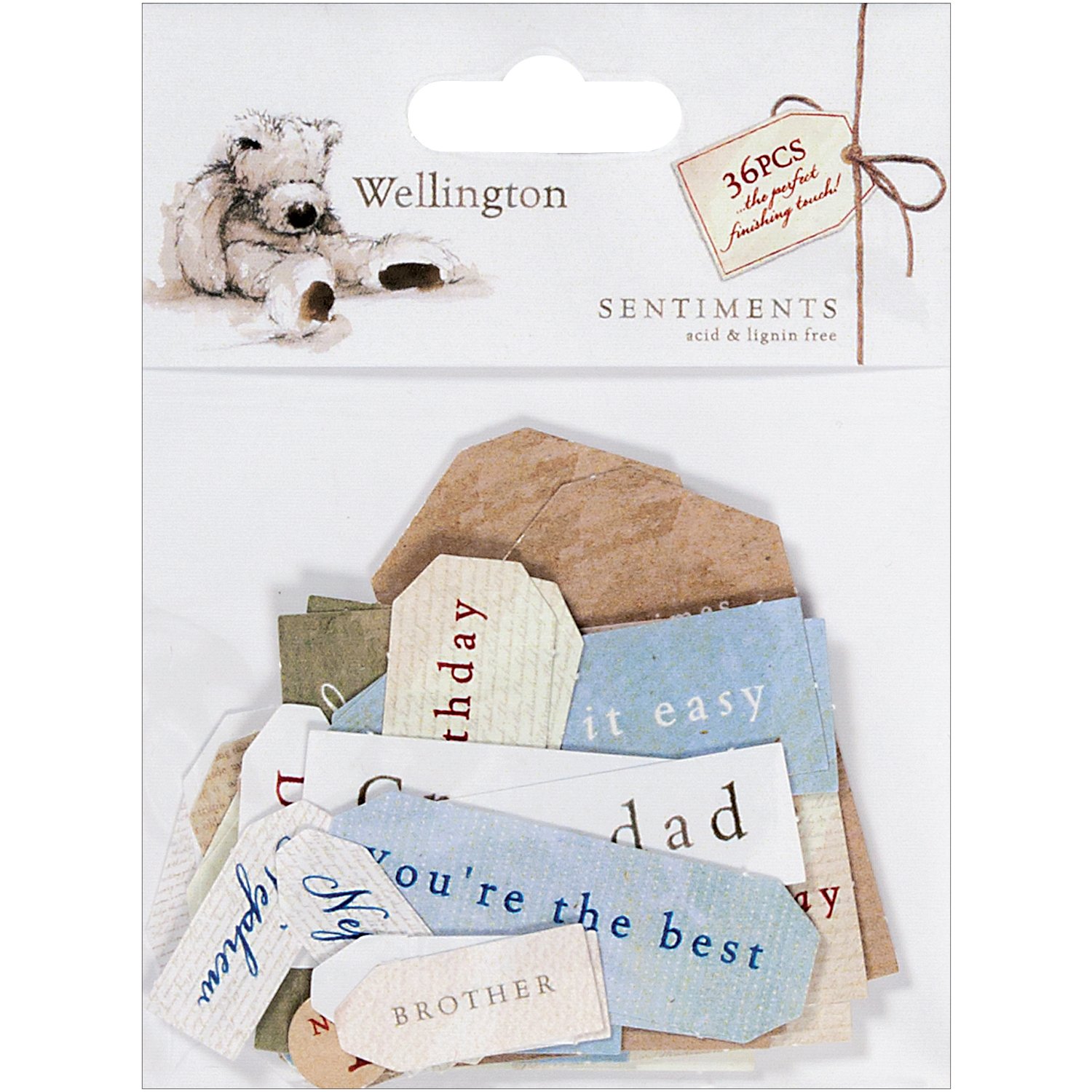 docraftsWellington 36-Pack Sentiments Die-Cuts