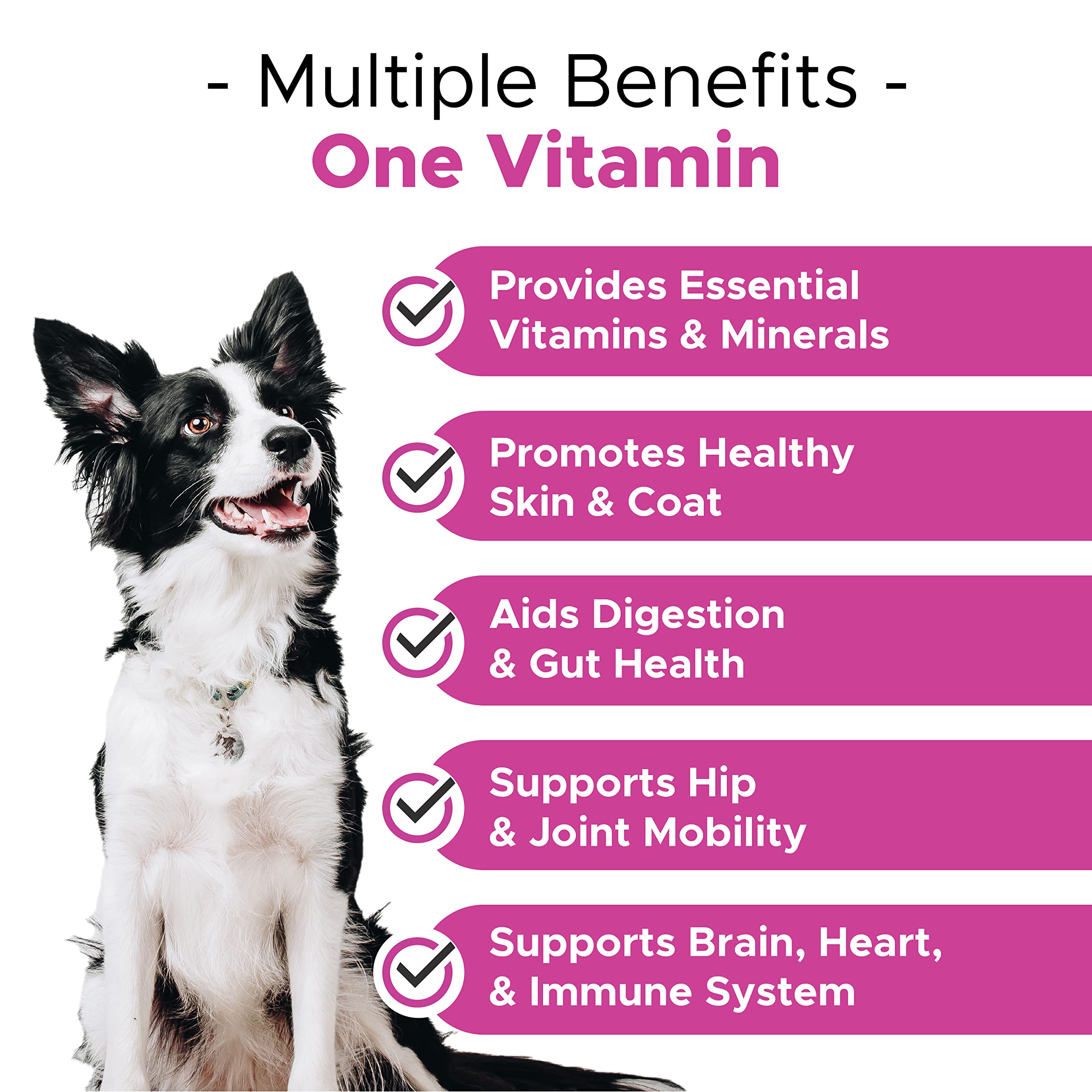 Buy 10 for 1 Dog Multivitamin with Glucosamine Essential Dog Vitamins