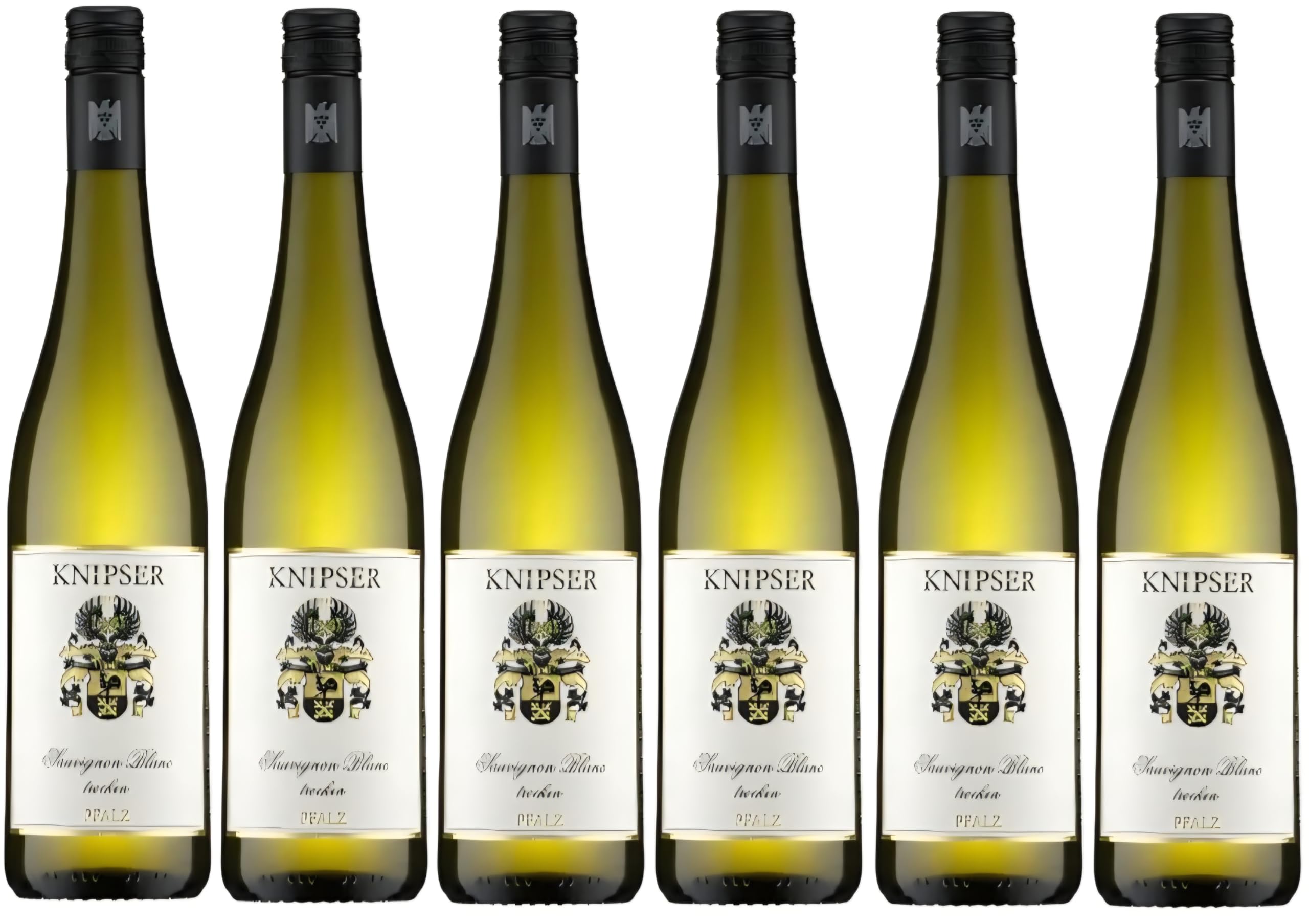Knipser Sauvignon Blanc trocken 2025 6 Flaschen zu je 0,75 Liter