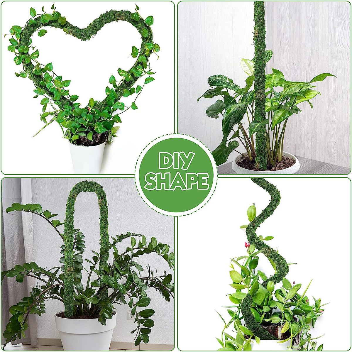 Amazon | 園芸支柱 モスポール モンステラ観葉植物 ポトス ヘゴ