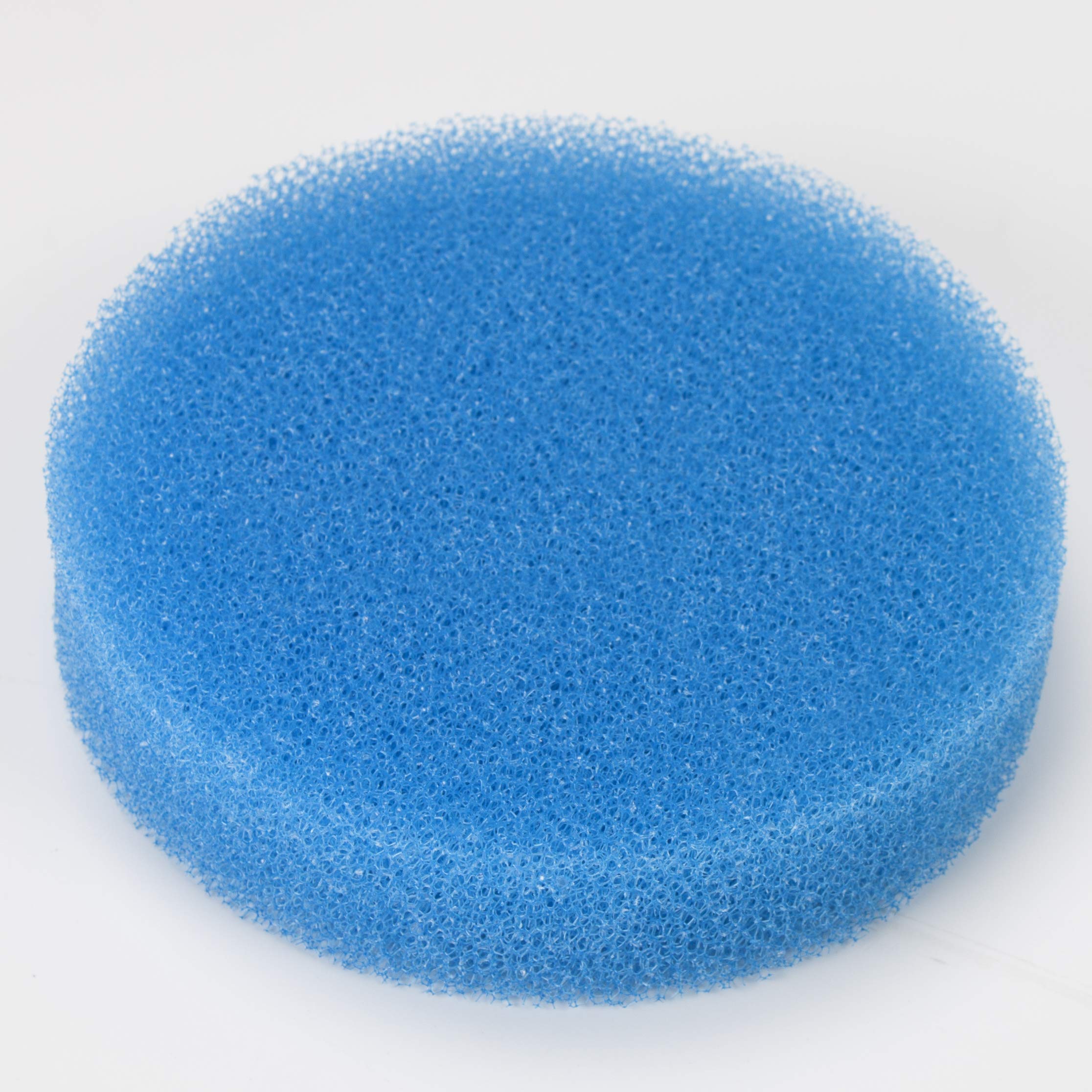 Blauer Rauher Filterschwamm Filtermatten Passend für Eheim-Classic 2213/250 (50 Stück)