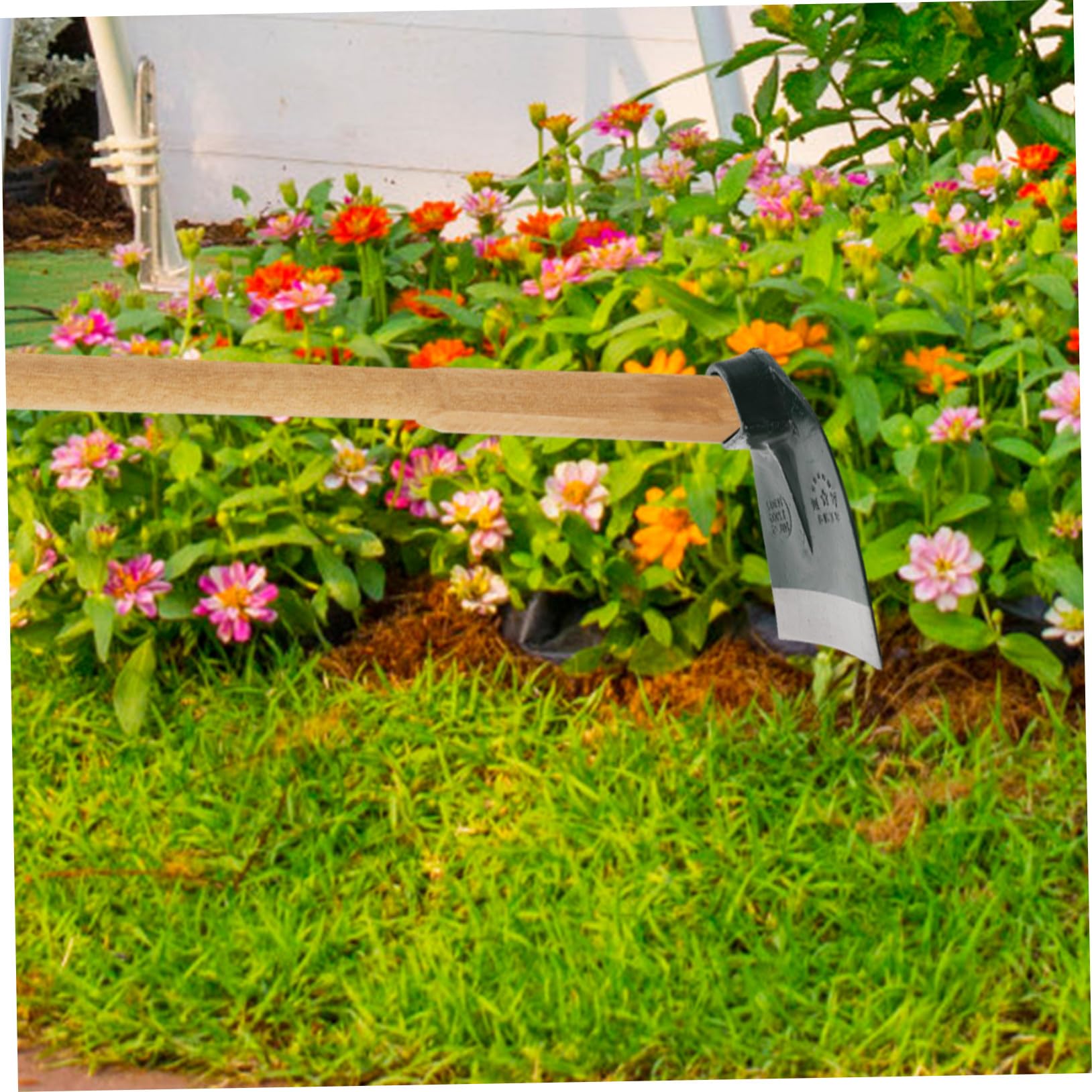 SOIMISS Robuster Gartenhacken Kopf aus Edelstahl Handliche Kleine Hacke für Gartenarbeit Bodenbearbeitung Unkrautentfernung und Pflanzvorbereitung ohne Stiel