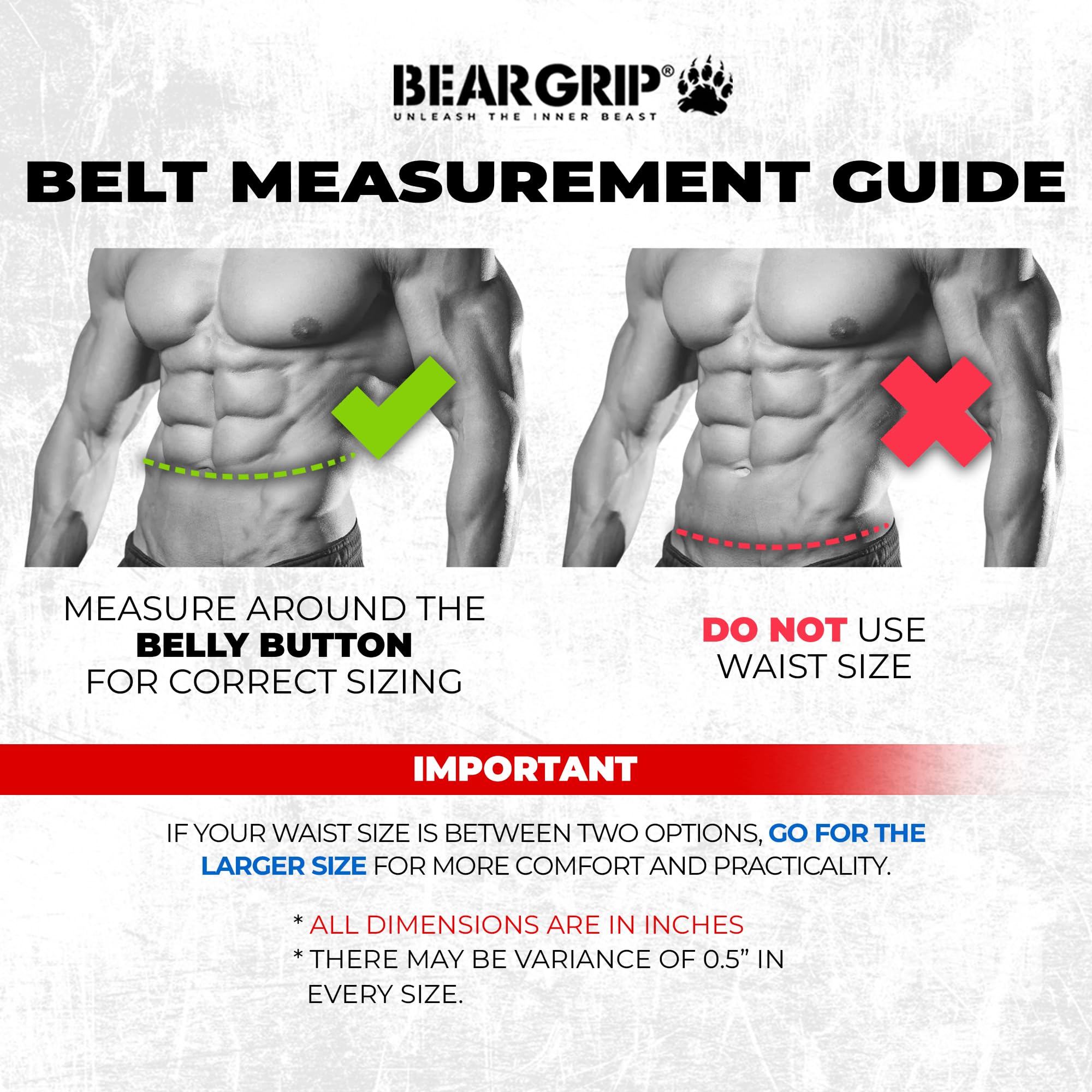 BEAR GRIP Power Belt Elite Edition Premium Double Pong Ceinture d'haltérophilie