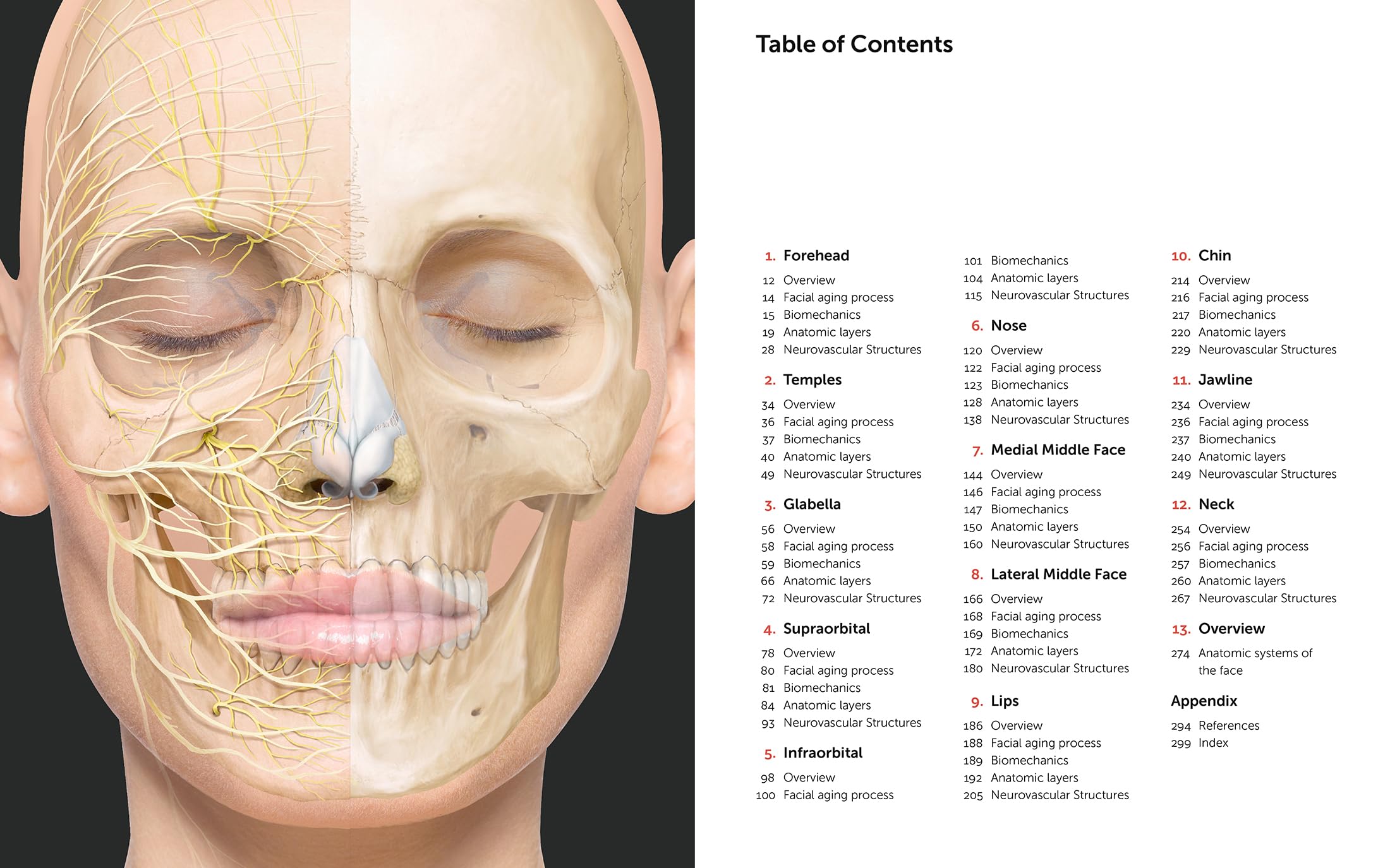 Facial Anatomy: Layer by Layer